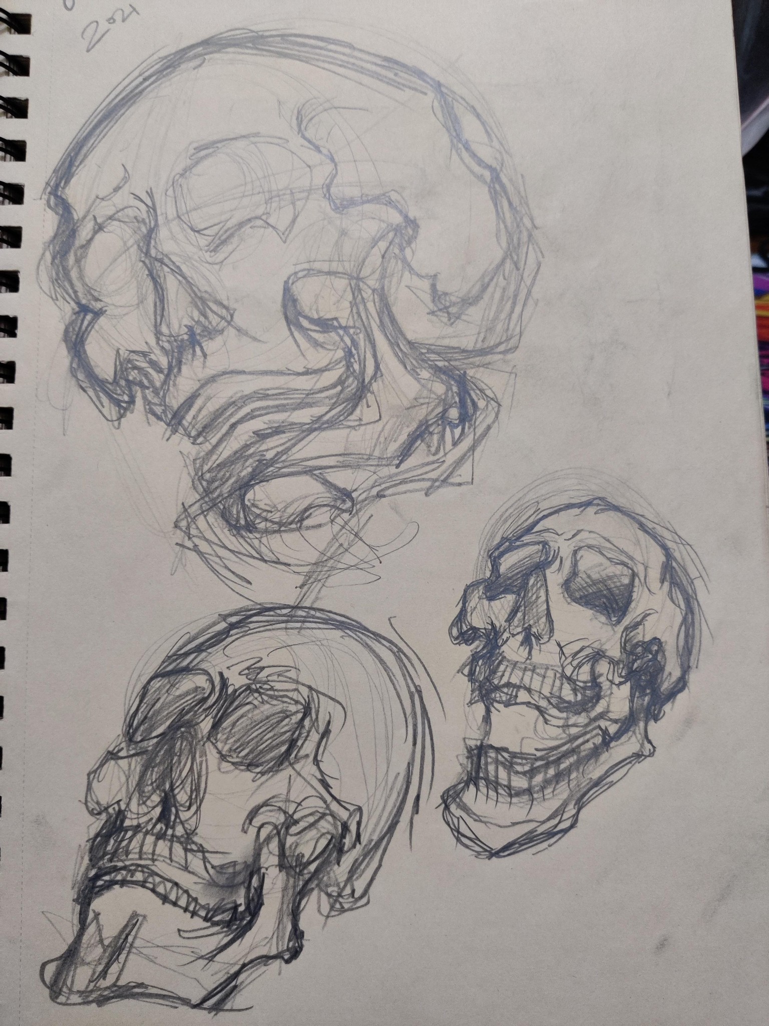 Skull Studies - image 3 - student project