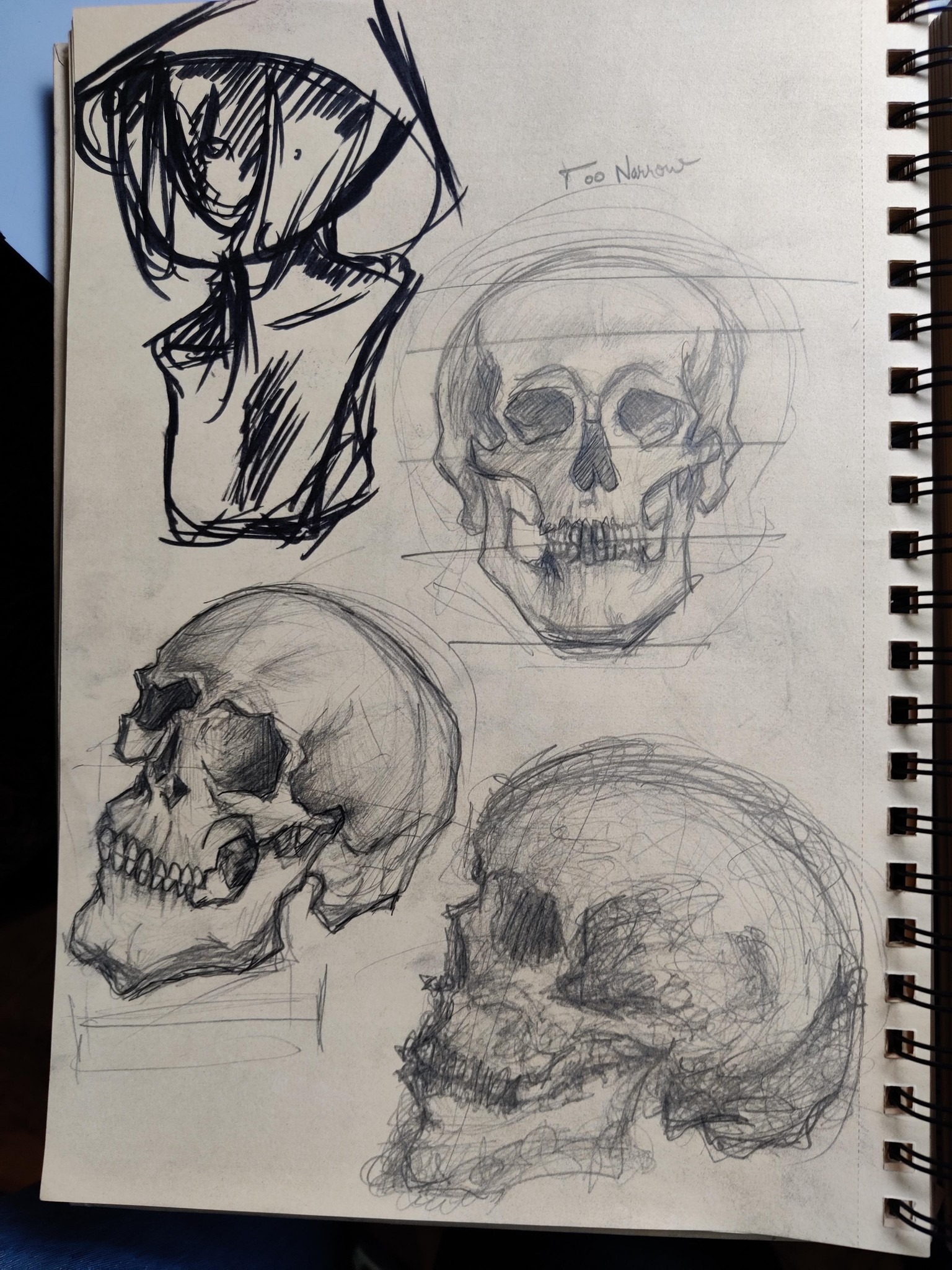 Skull Studies - image 1 - student project