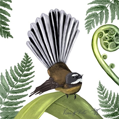 New Zealand birds - image 2 - student project
