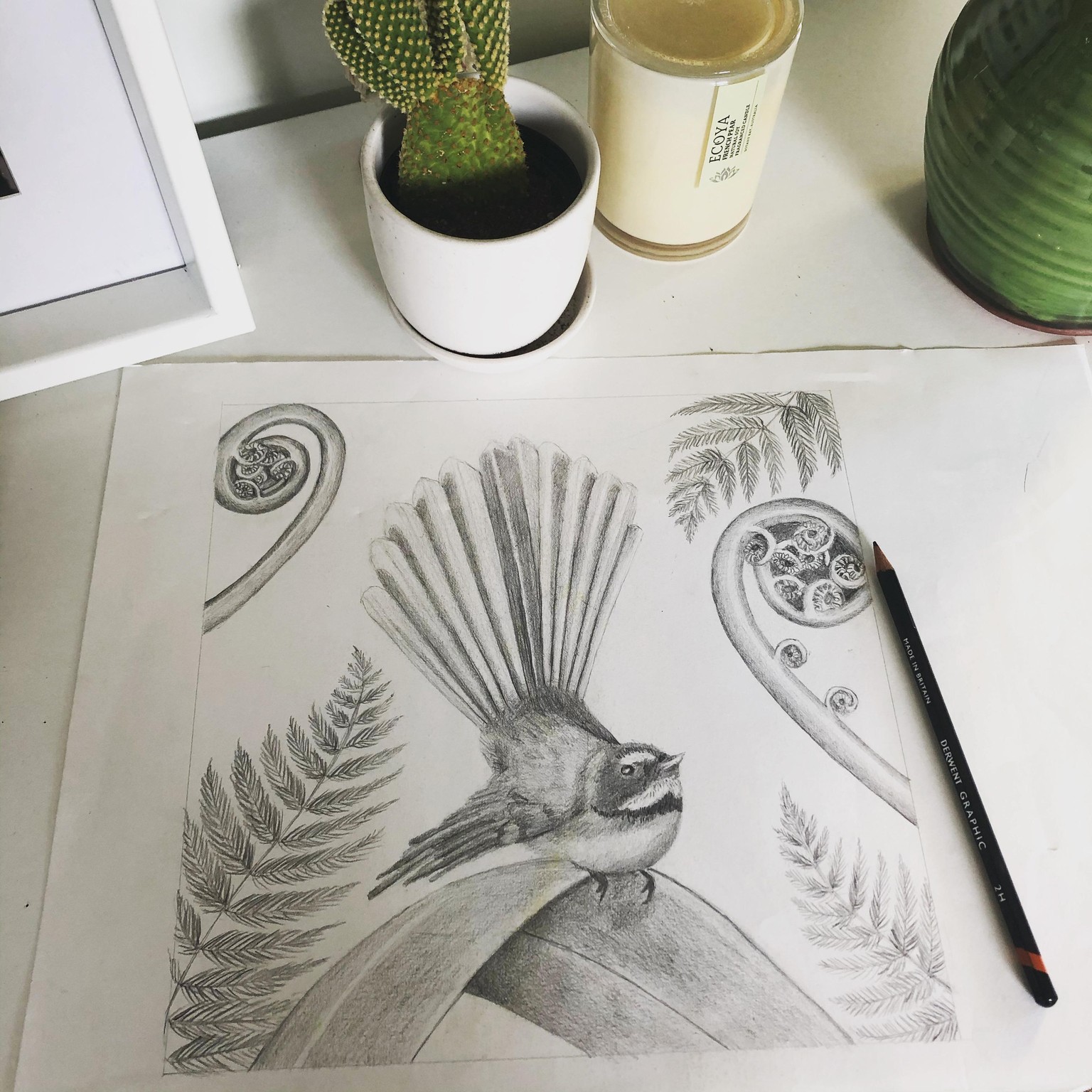 New Zealand birds - image 1 - student project