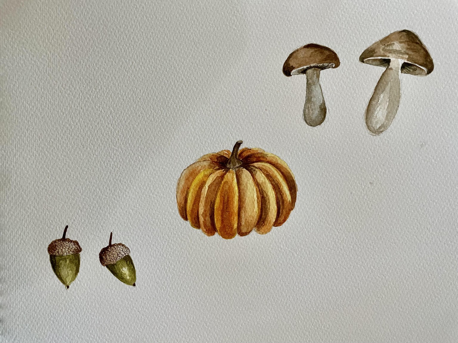 Mushrooms - image 2 - student project