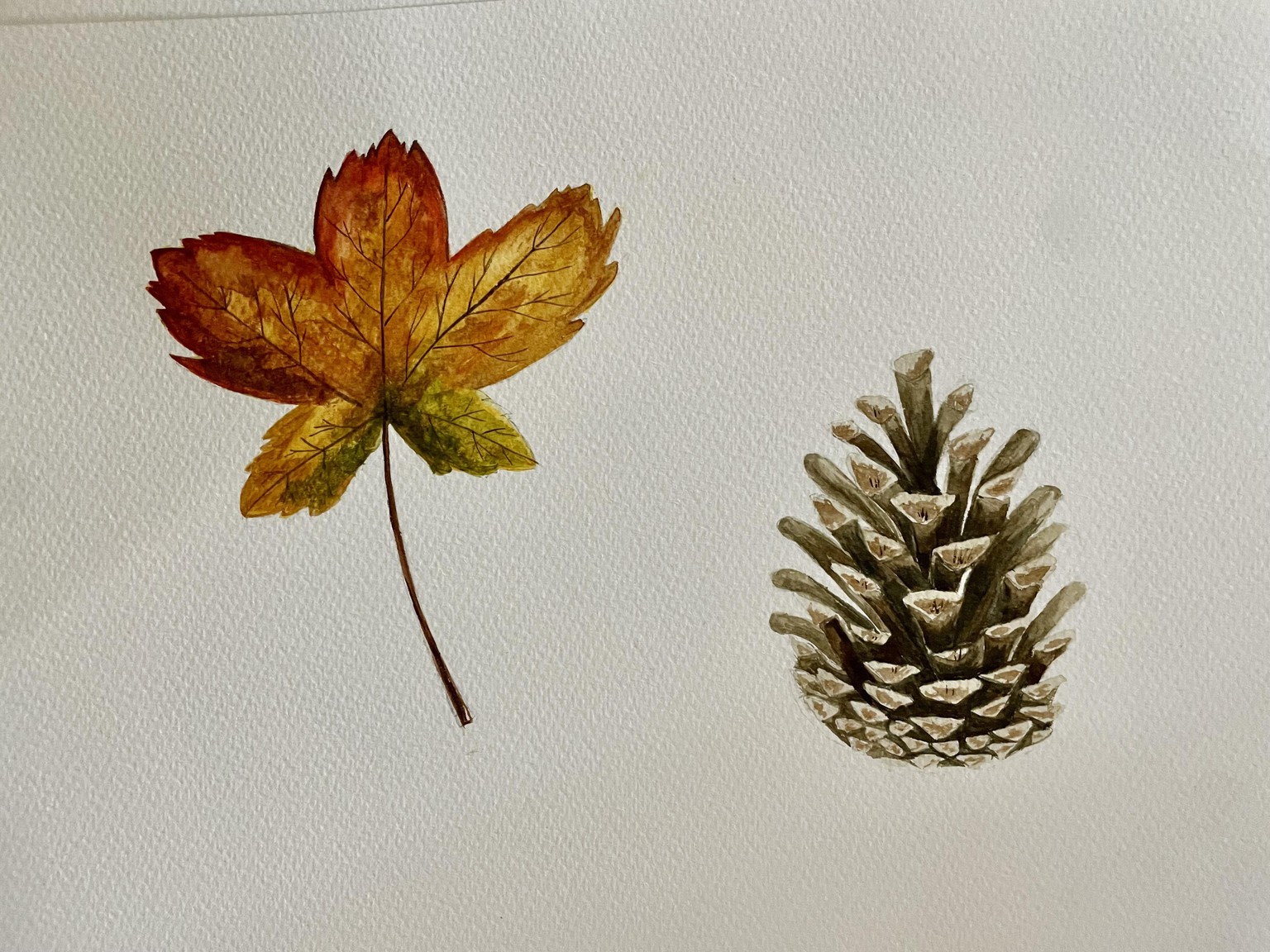 Mushrooms - image 1 - student project