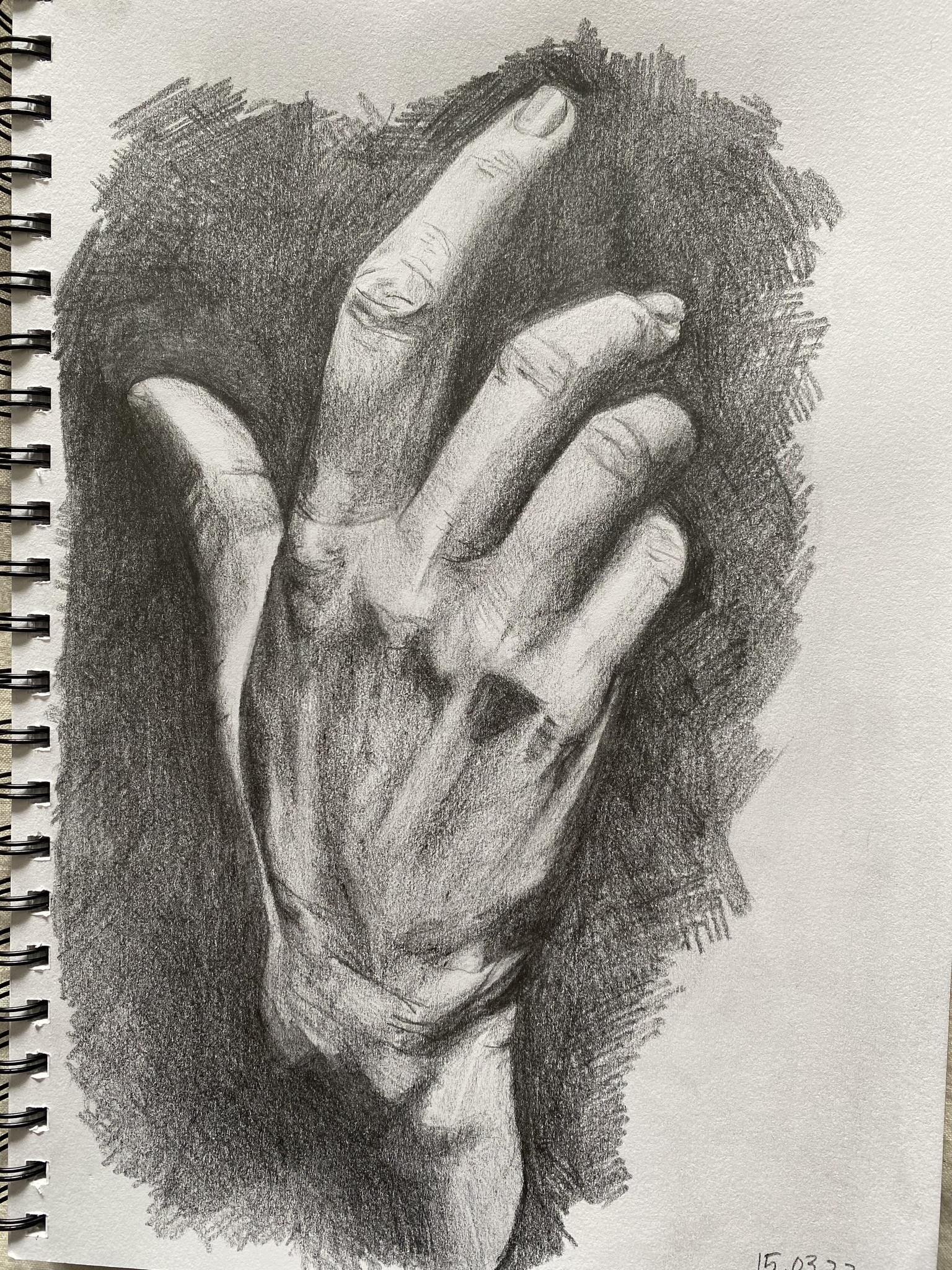 Hand Study - image 1 - student project