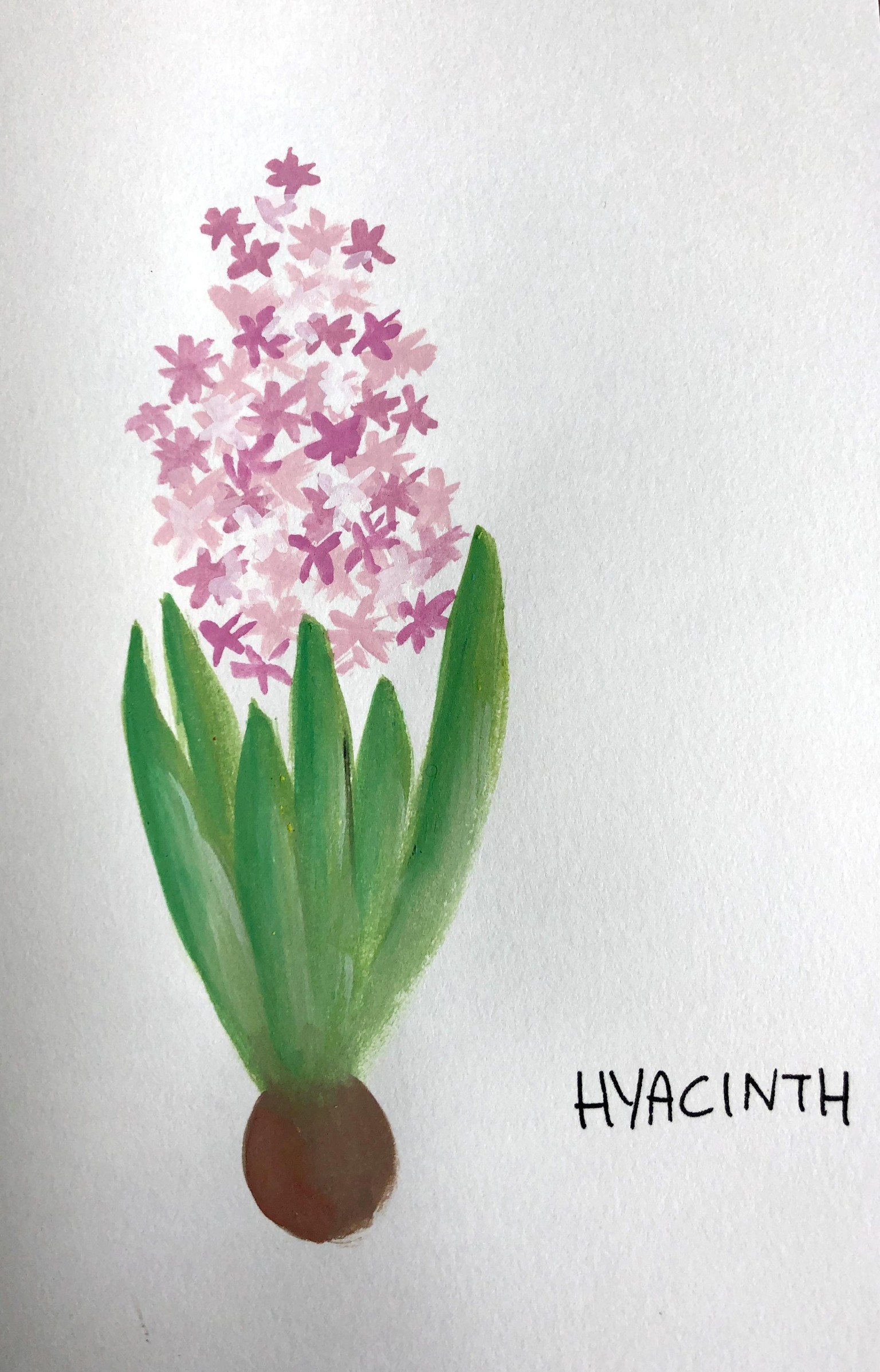 Bal de fleurs - image 2 - student project