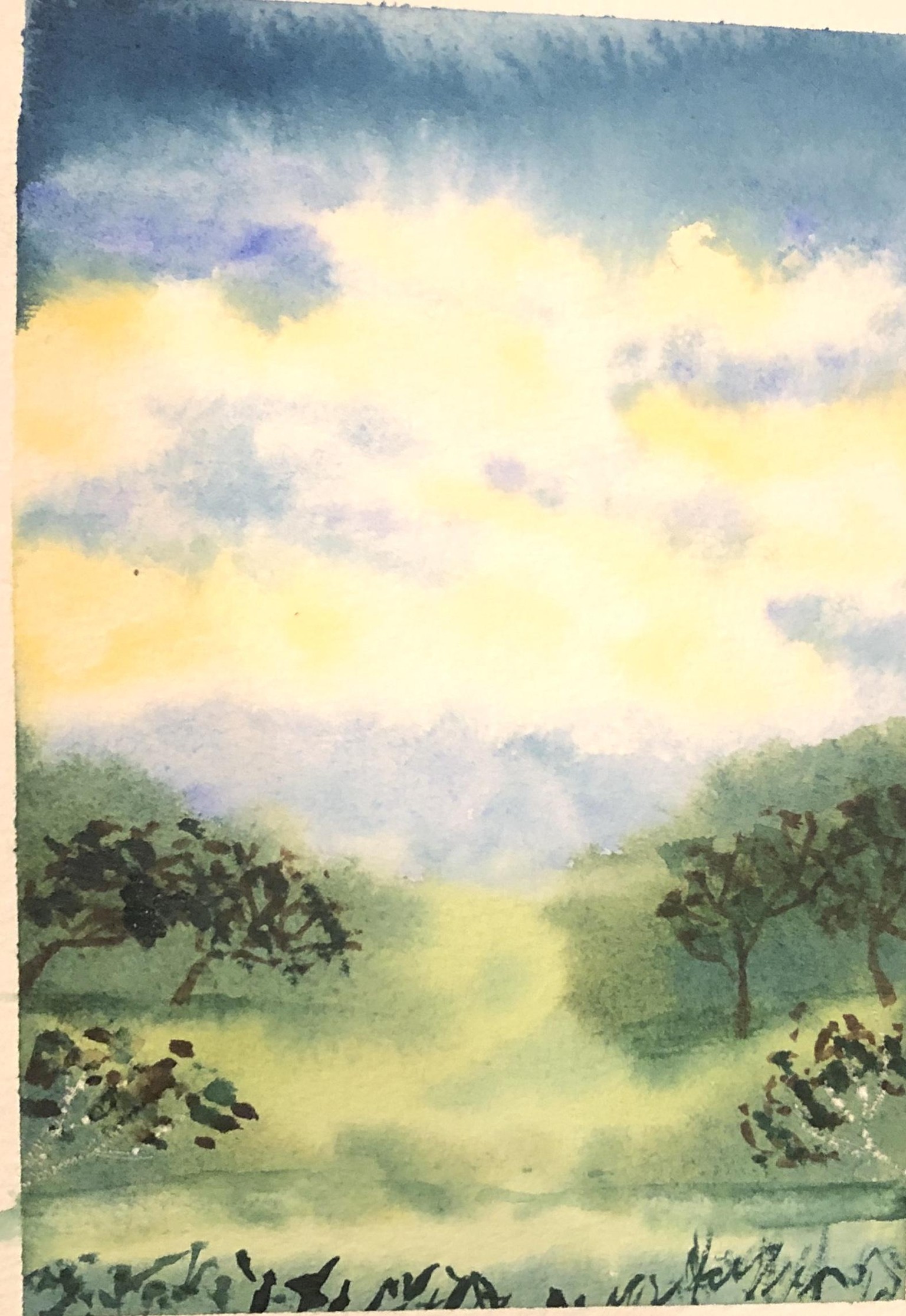 4 landscapes - image 2 - student project