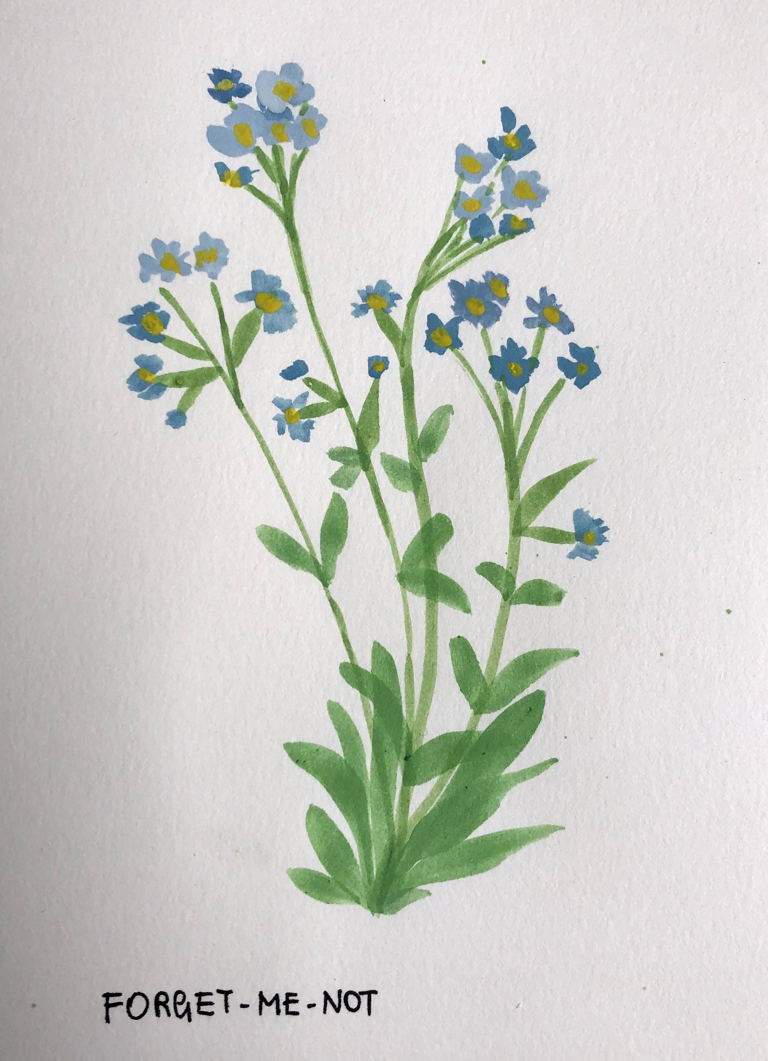 Bal de fleurs - image 3 - student project
