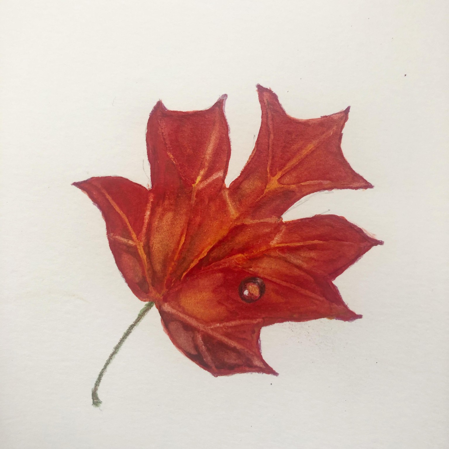 My leaf - image 1 - student project