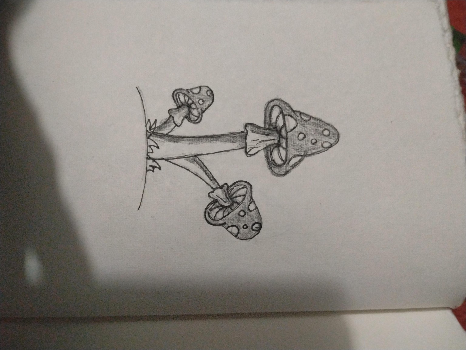 Mushrooms - image 1 - student project