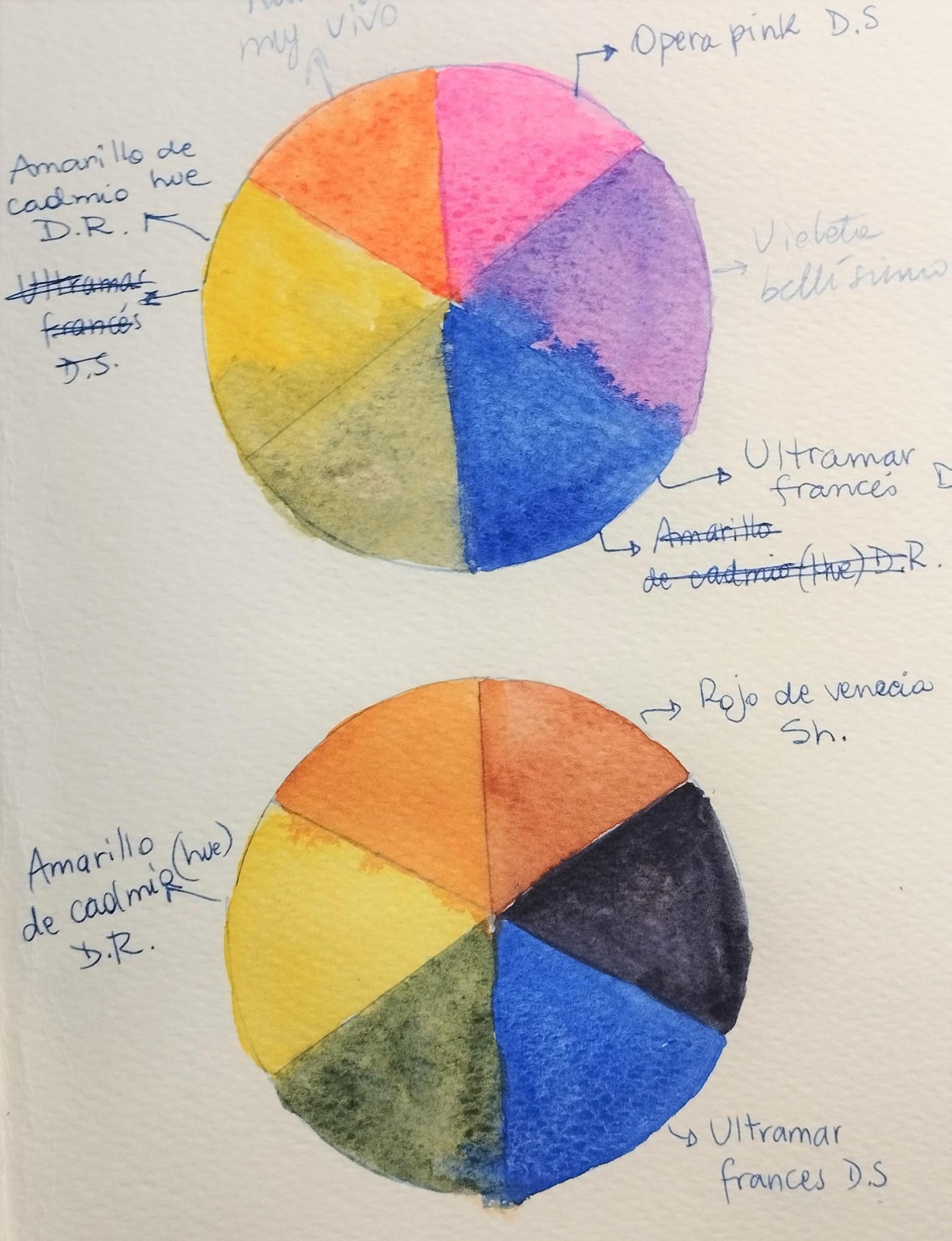 Estudios de color y acuarela con flores - image 3 - student project