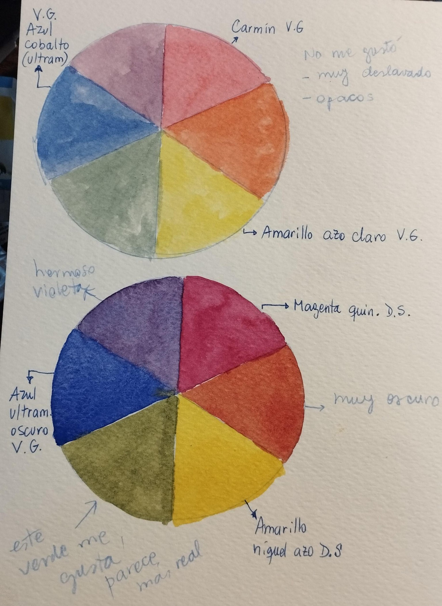 Estudios de color y acuarela con flores - image 2 - student project