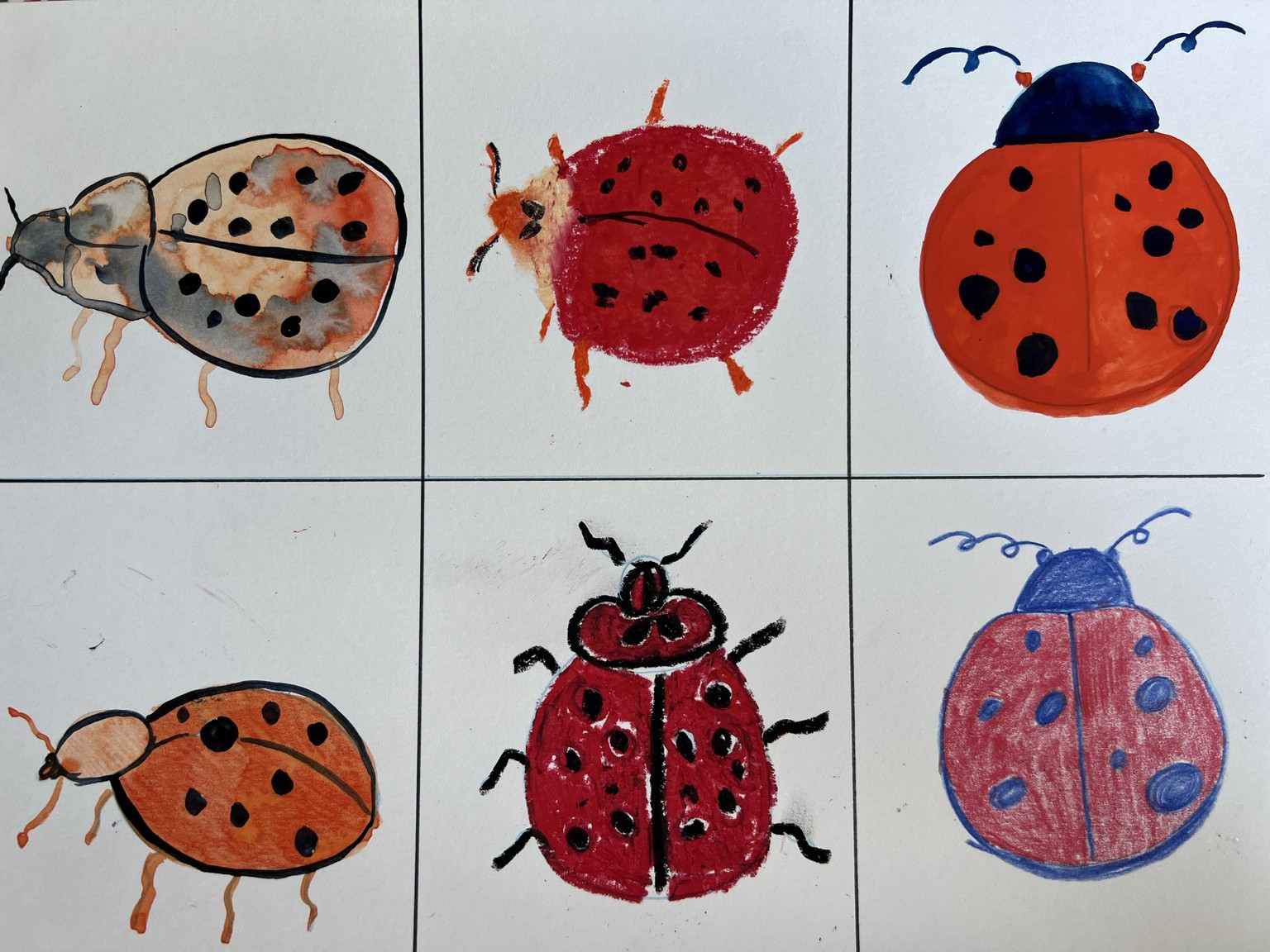 Stylish bugs - image 2 - student project