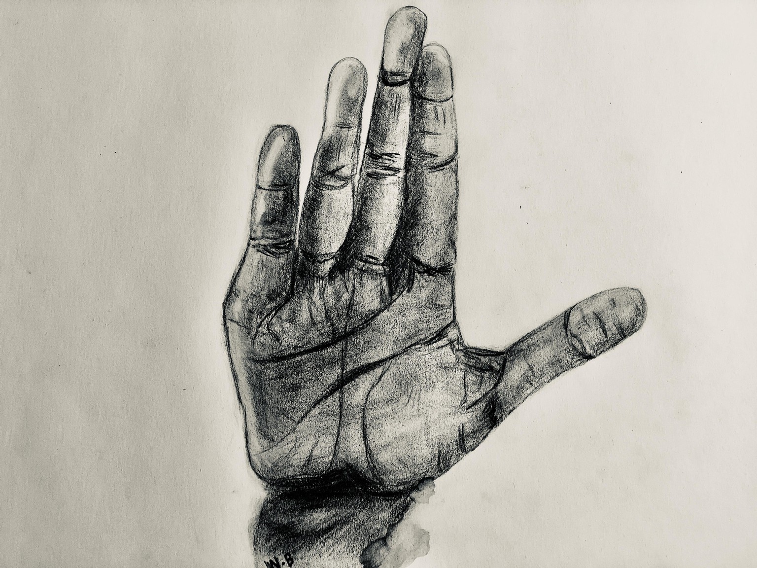 Hands - Quick gesture drawings and two sketches - image 1 - student project