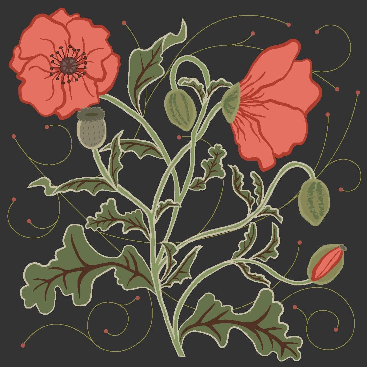 Poppies - image 1 - student project
