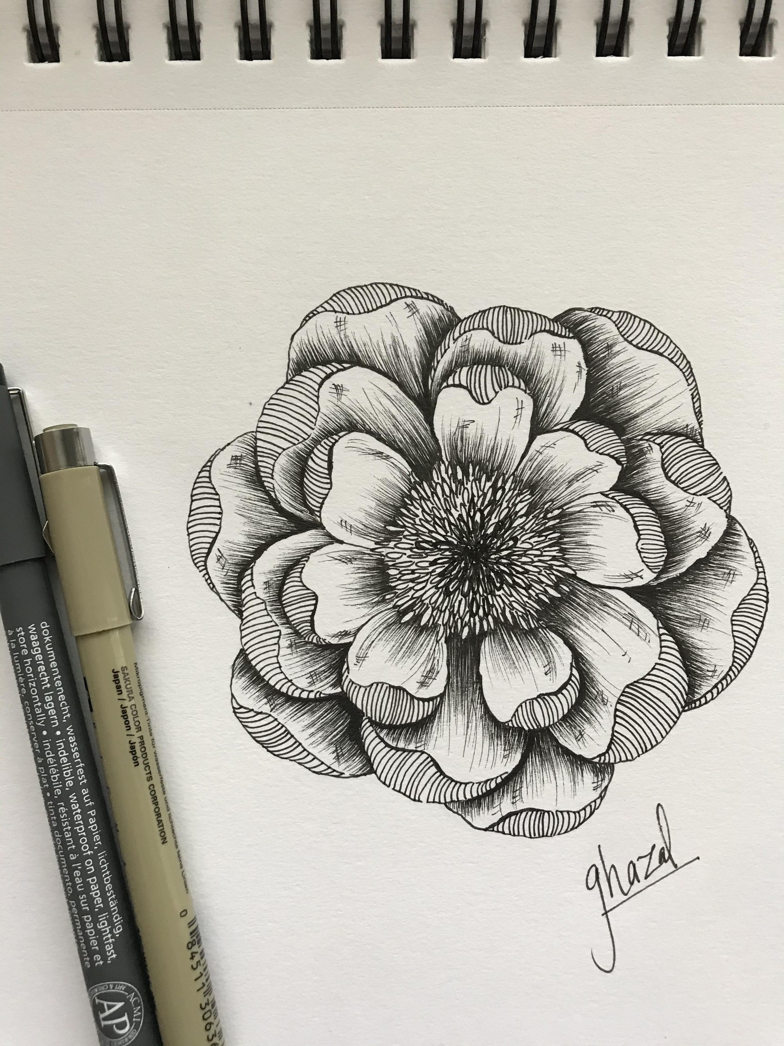 Peony drawing - image 1 - student project