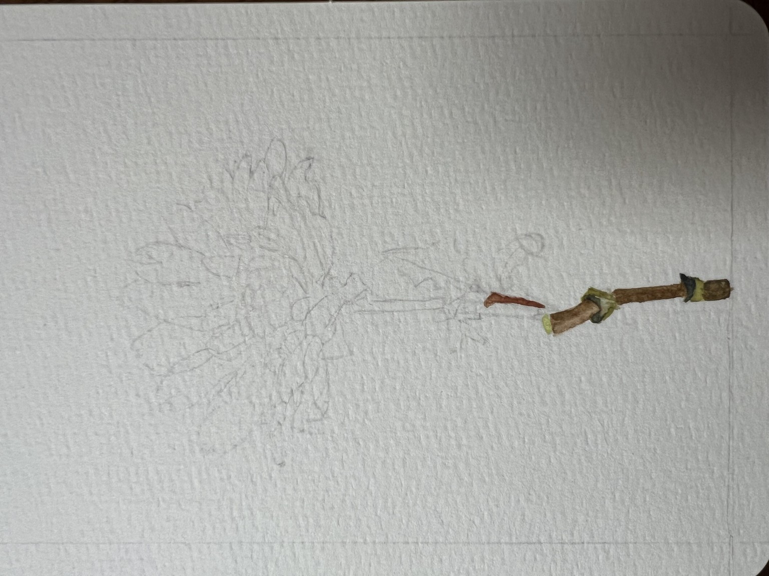 Still a work in progress - image 5 - student project