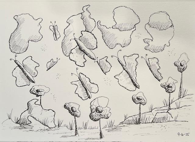 Squiggles to butterflies - image 1 - student project