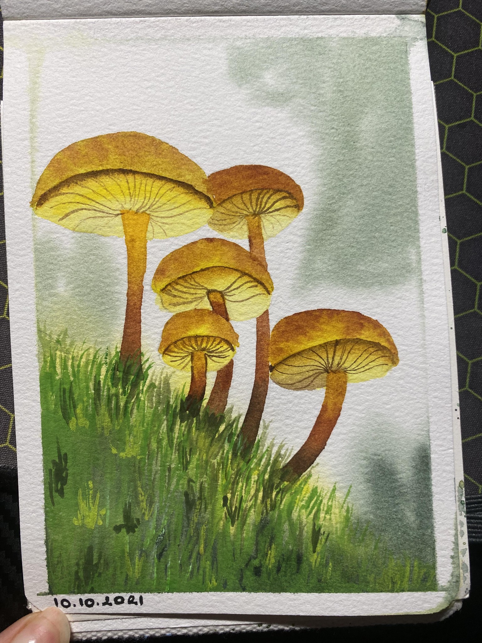 31 days of autumn - image 11 - student project