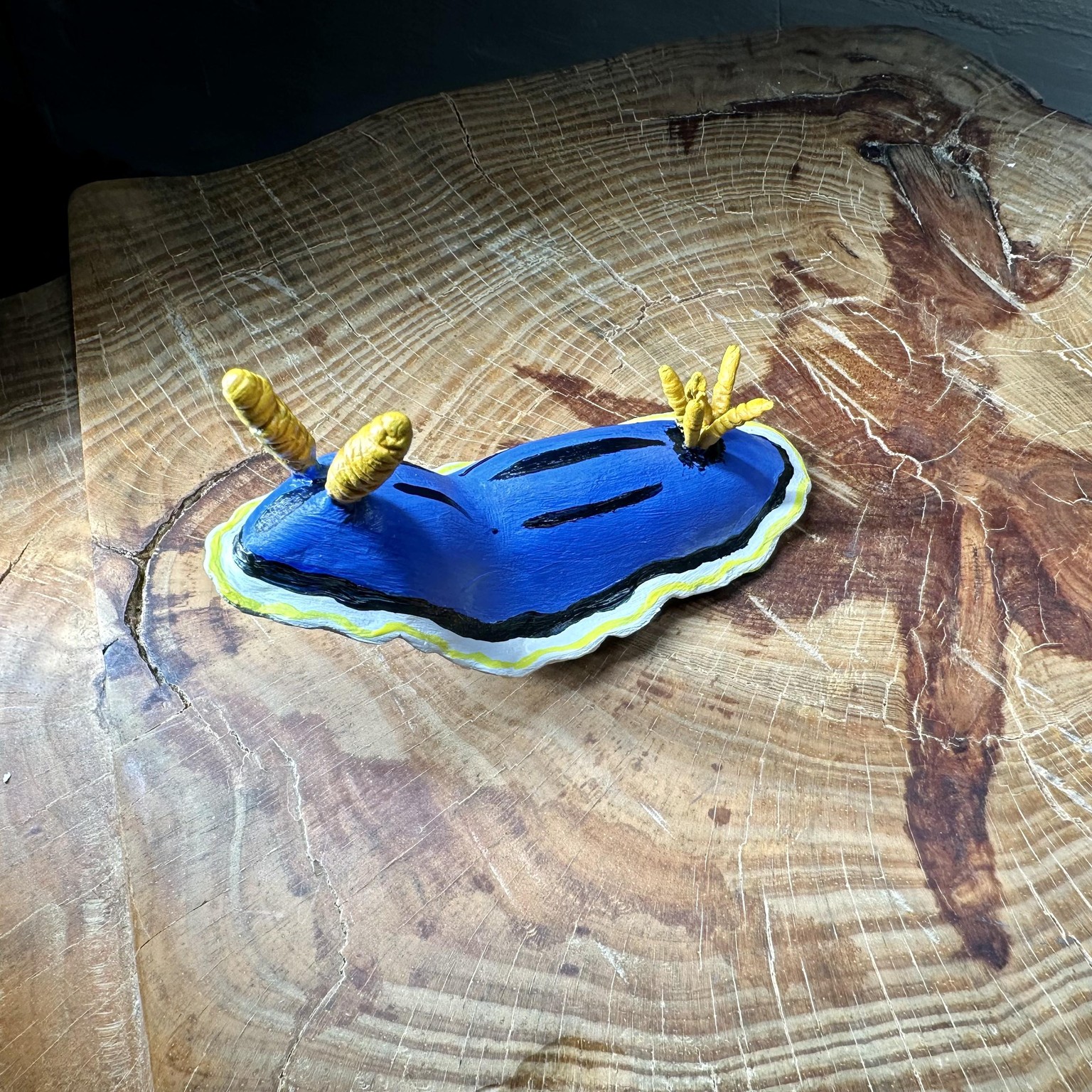 Chromodoris Annae - image 1 - student project