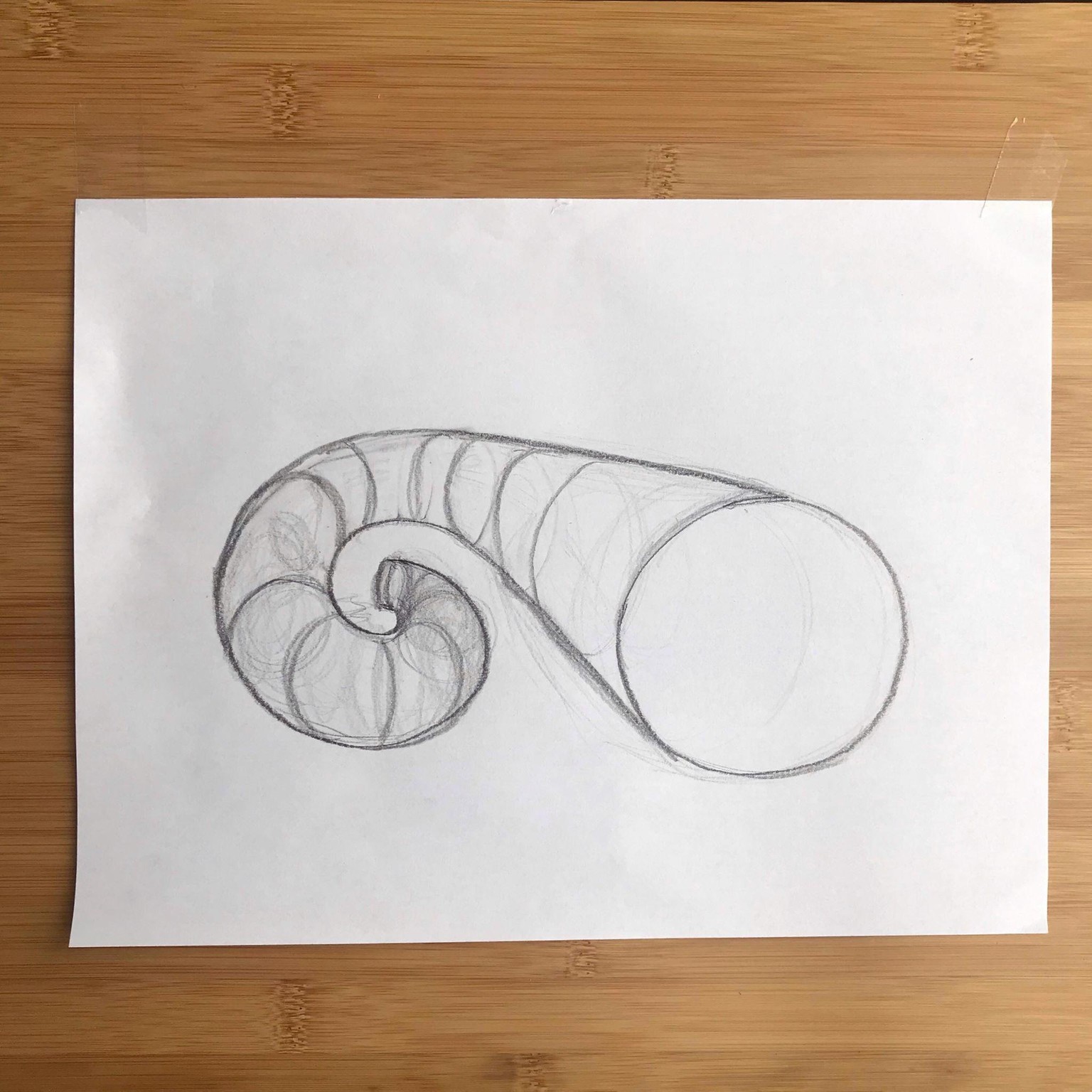 Circles - image 3 - student project