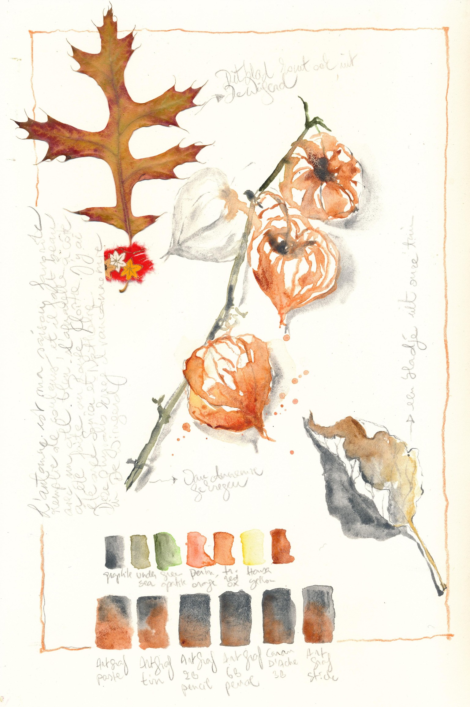 Some autumn treasures ! - image 1 - student project