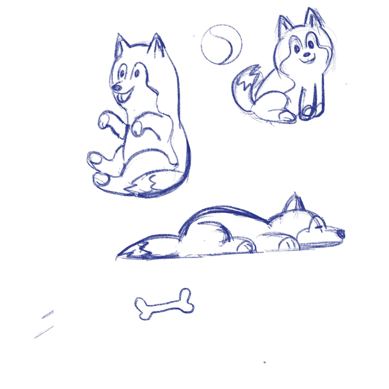 Husky madness and sea (instead of Lama) - image 2 - student project