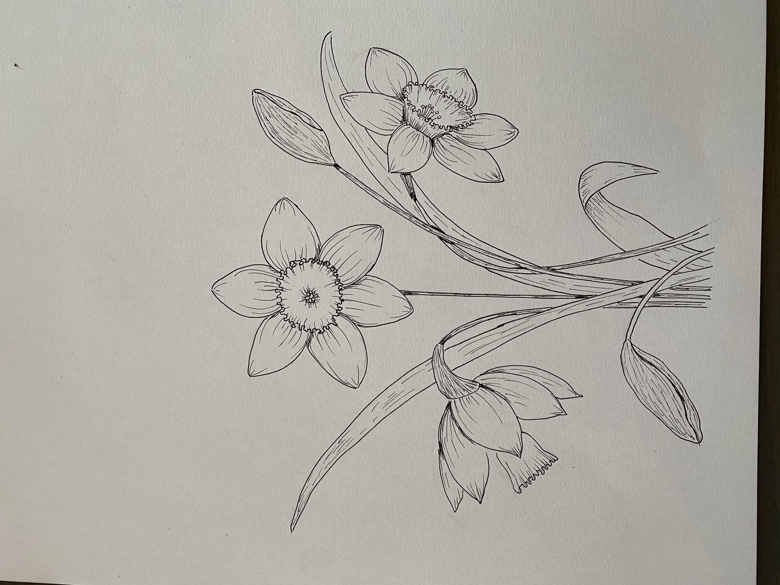 Spring feeling - image 4 - student project