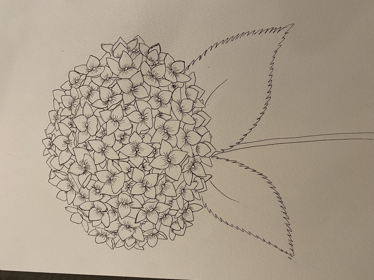Spring feeling - image 1 - student project