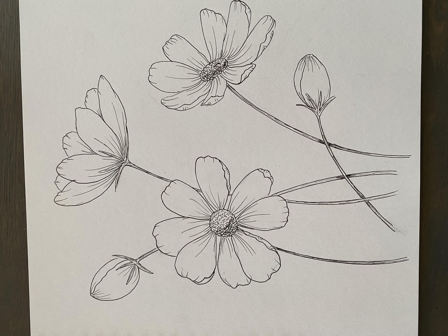 Spring feeling - image 2 - student project
