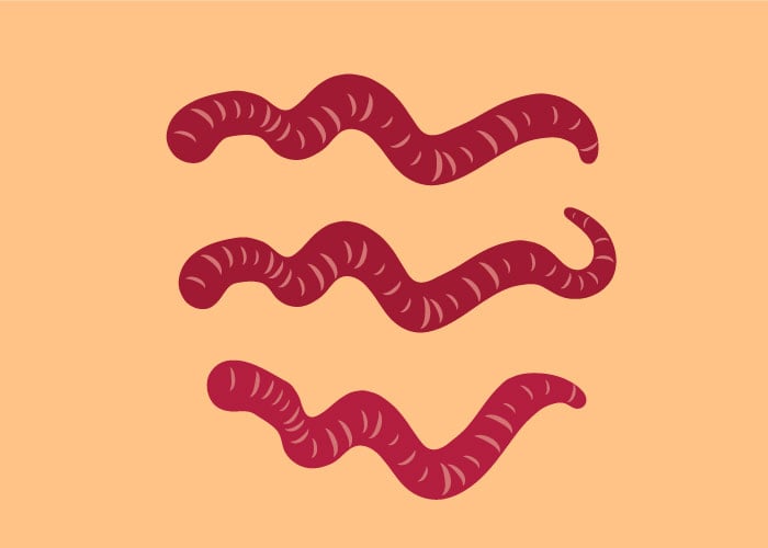 Tentacle Brush - image 2 - student project