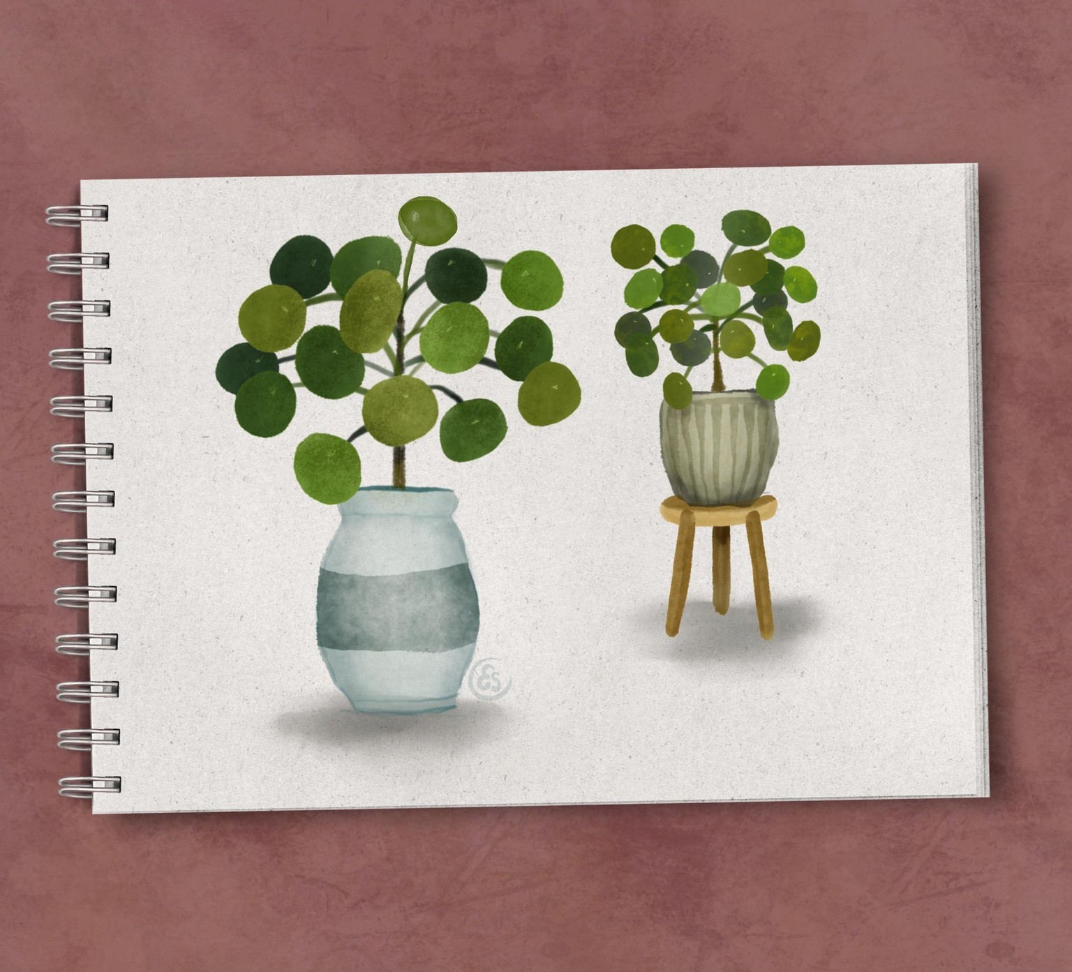 Potted Plants - image 4 - student project