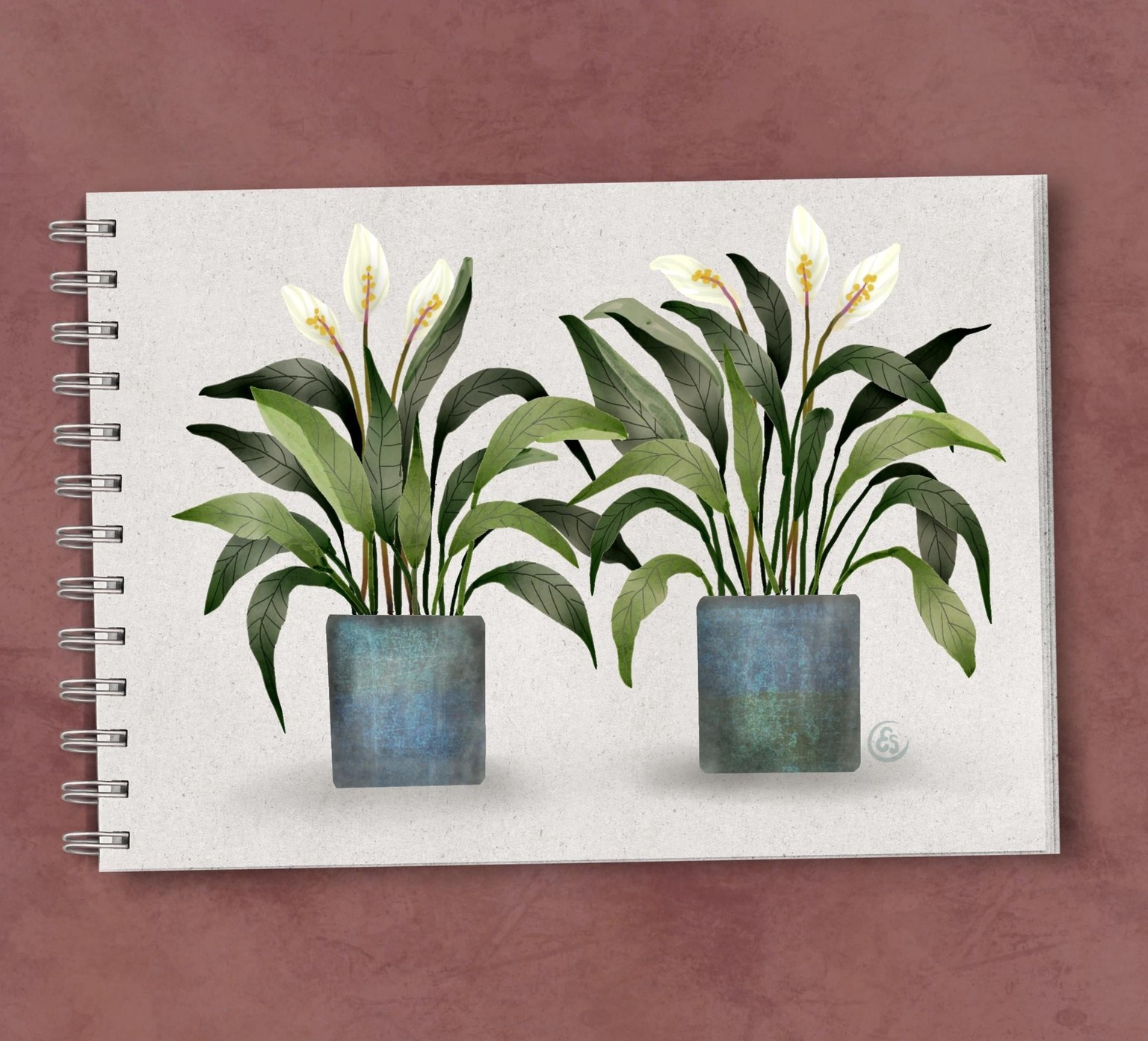 Potted Plants - image 1 - student project
