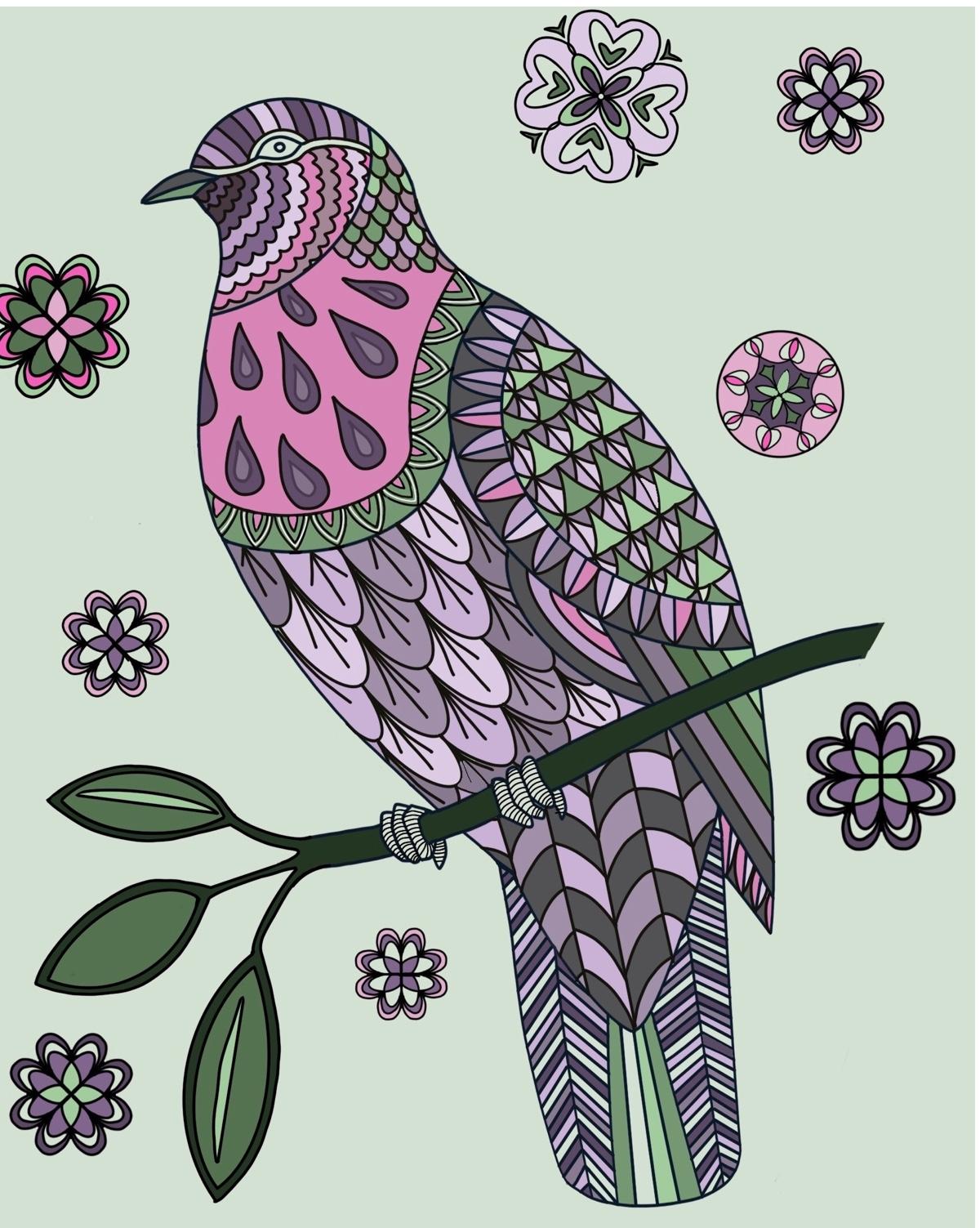 Wood Pigeon - image 1 - student project