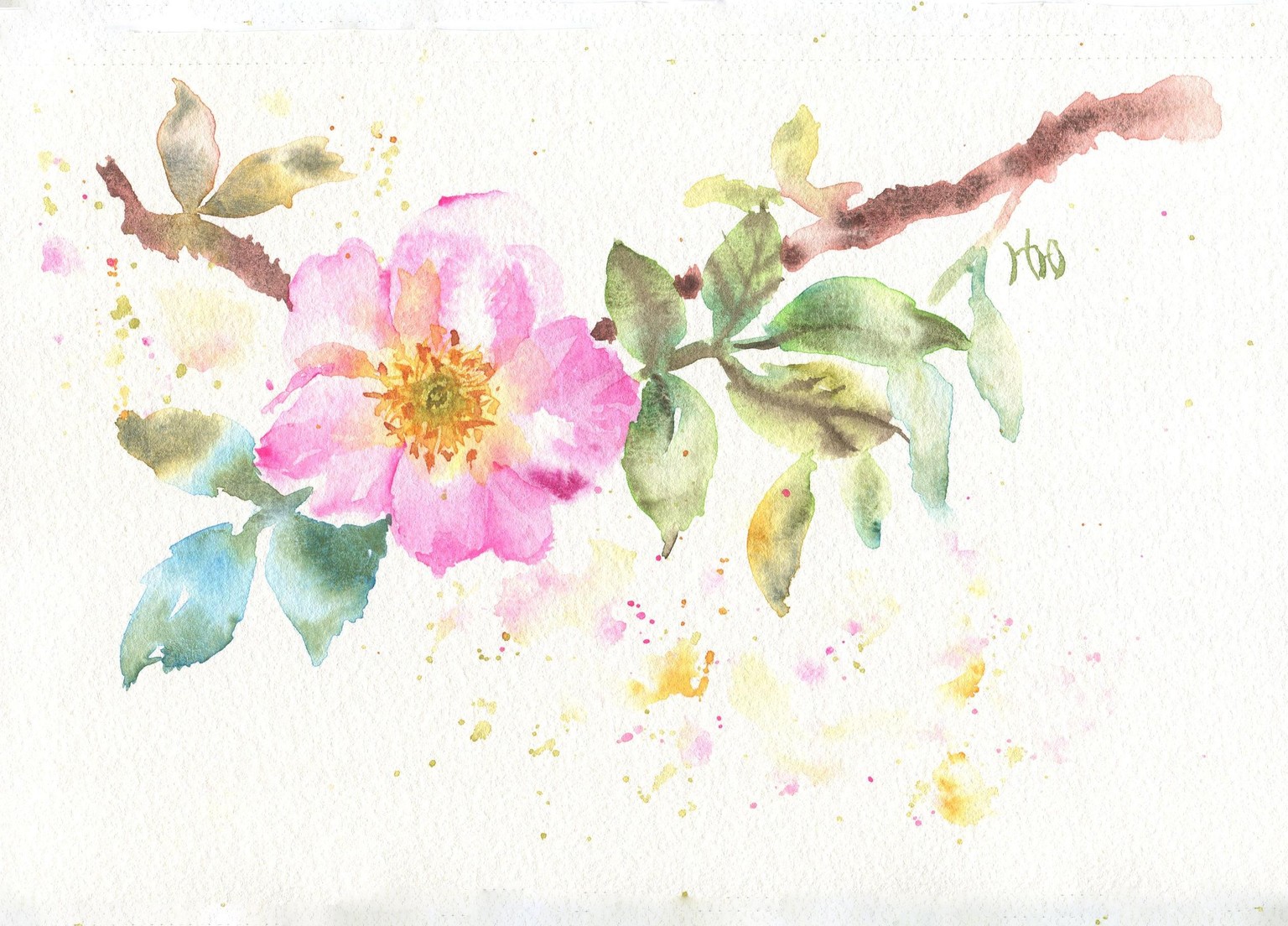Wildflowers: Paint with Water! - image 1 - student project