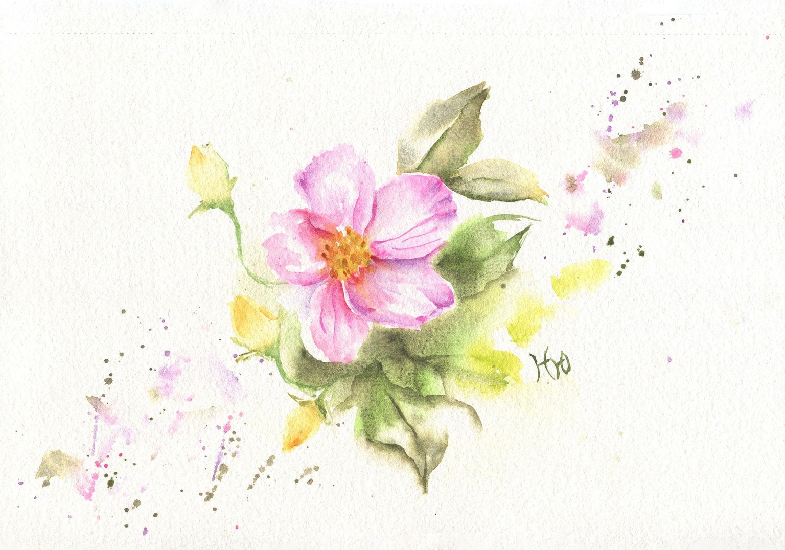 Wildflowers: Paint with Water! - image 4 - student project