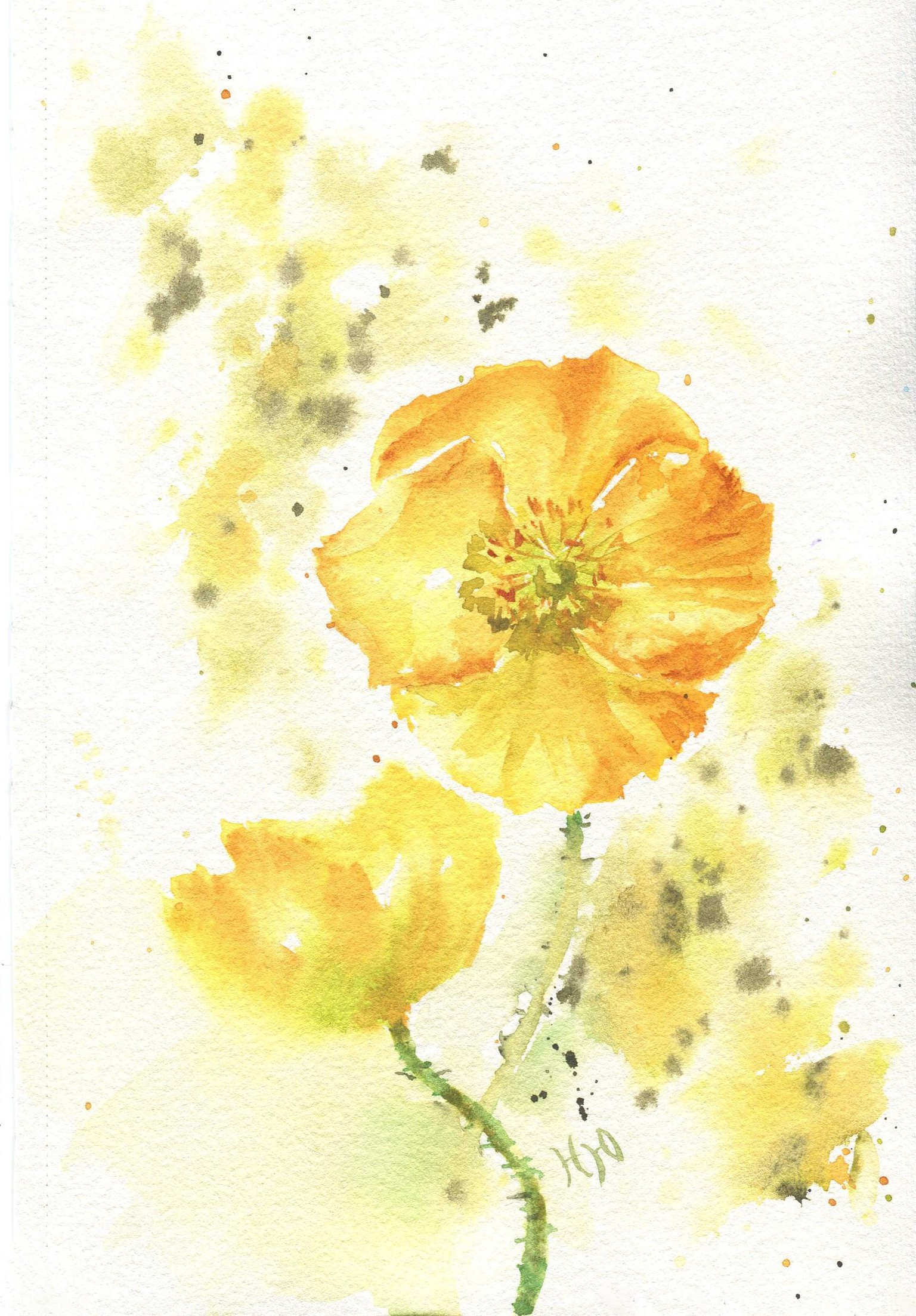 Wildflowers: Paint with Water! - image 5 - student project