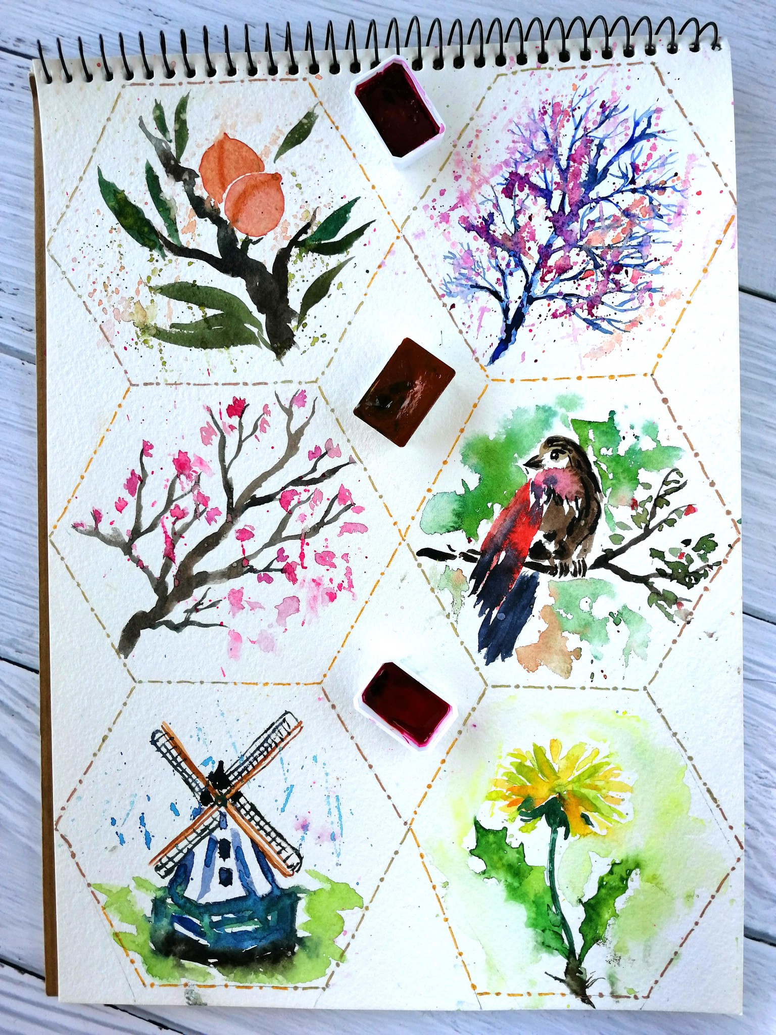 100 watercolor days - image 2 - student project