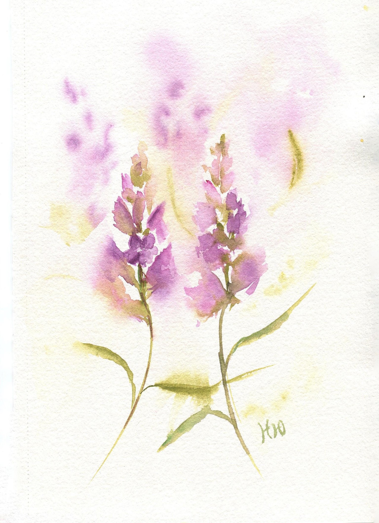 Wildflowers: Paint with Water! - image 2 - student project