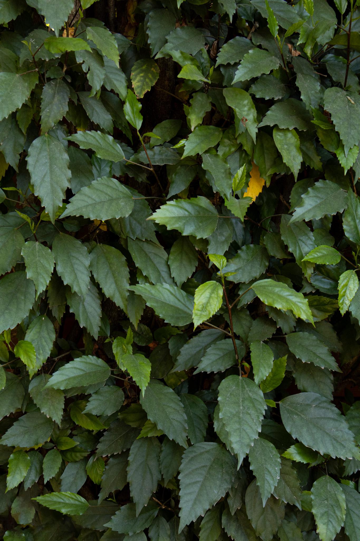 Full Frame Texture - image 2 - student project