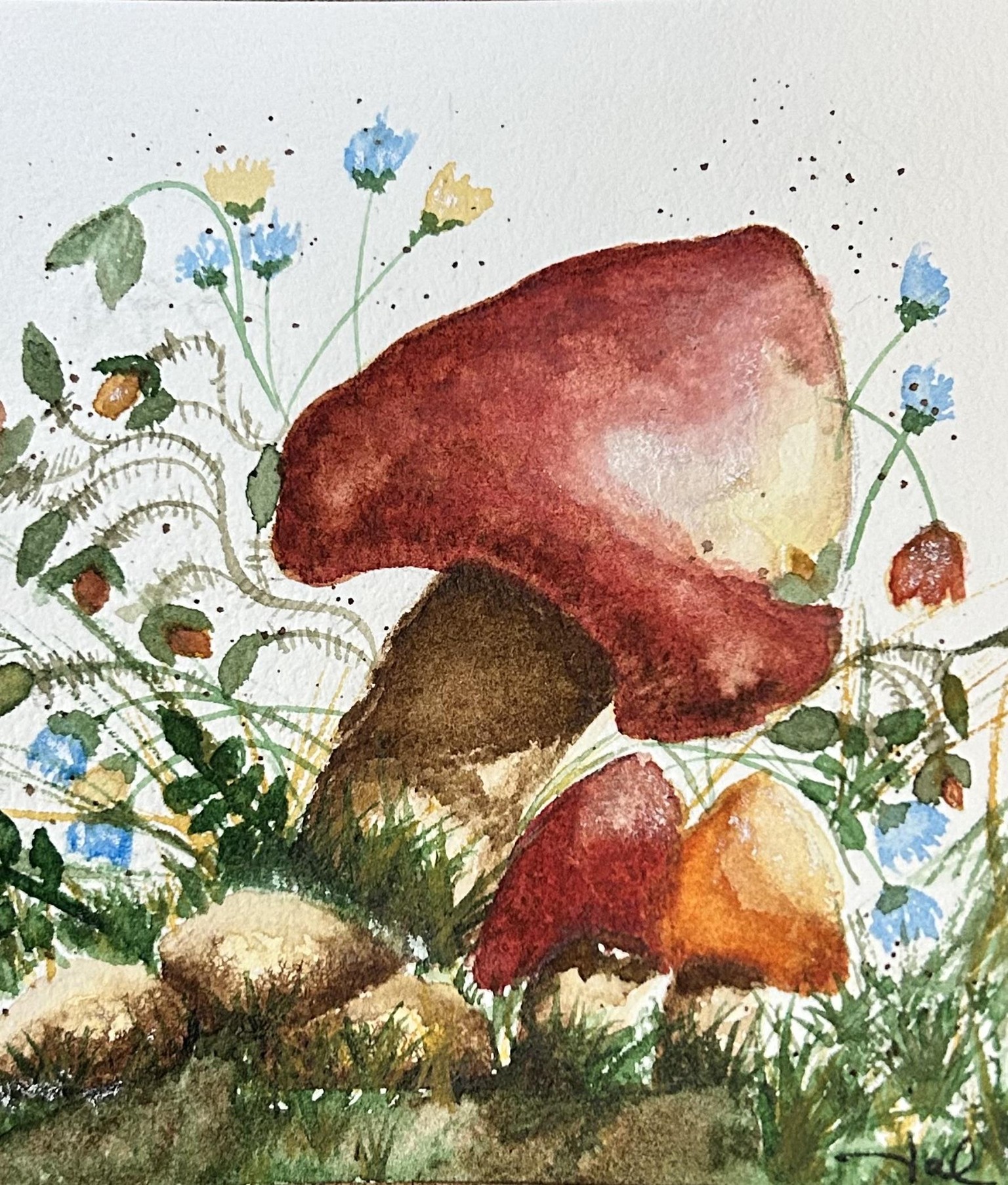 Mushroom LOVE❤️👌🏻 - image 1 - student project
