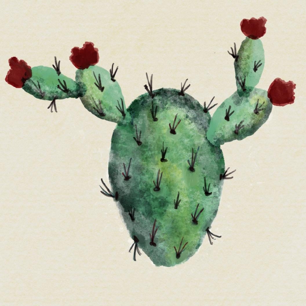 Watercolor Cactus - image 1 - student project