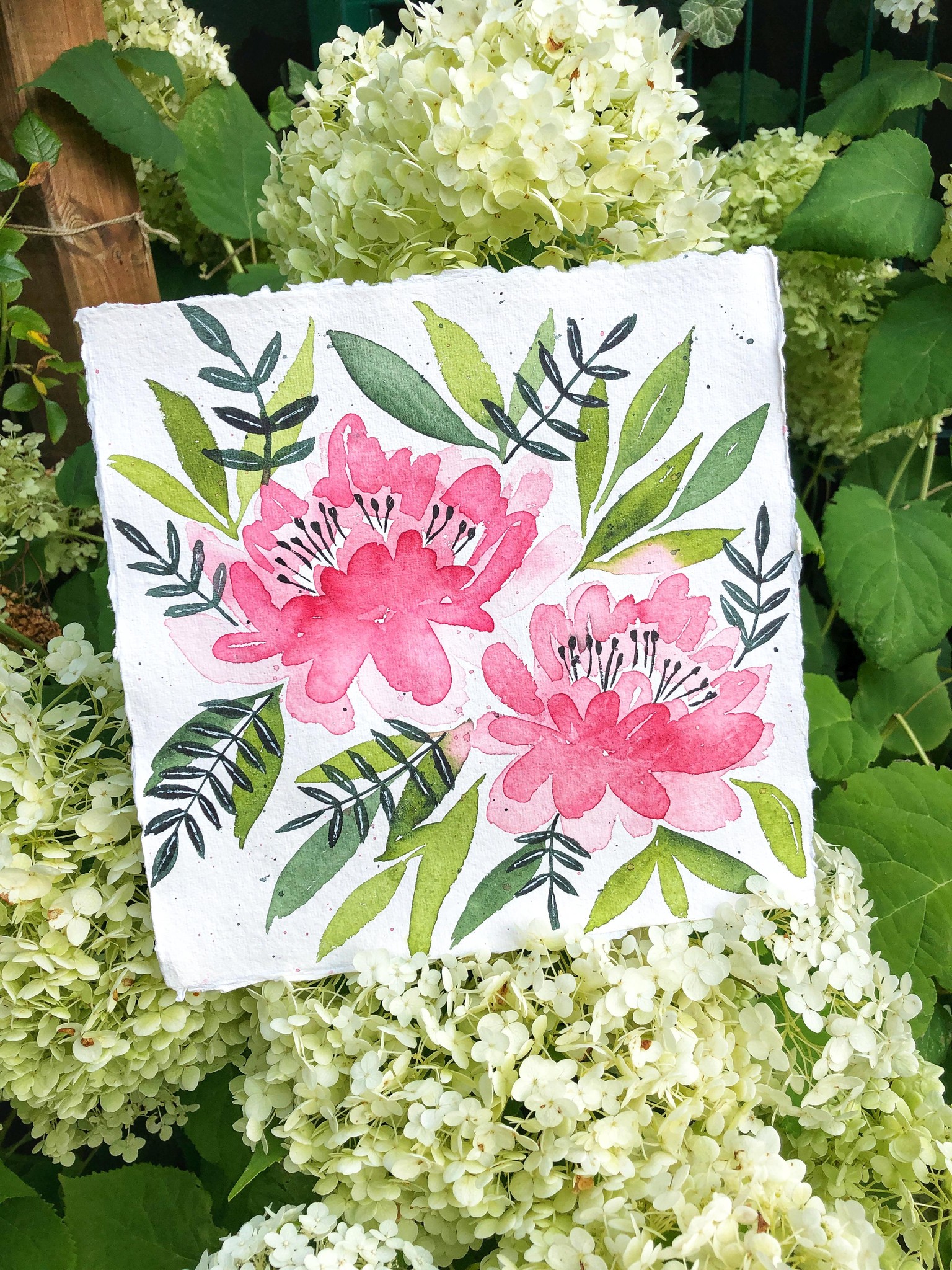 Peonies - image 2 - student project