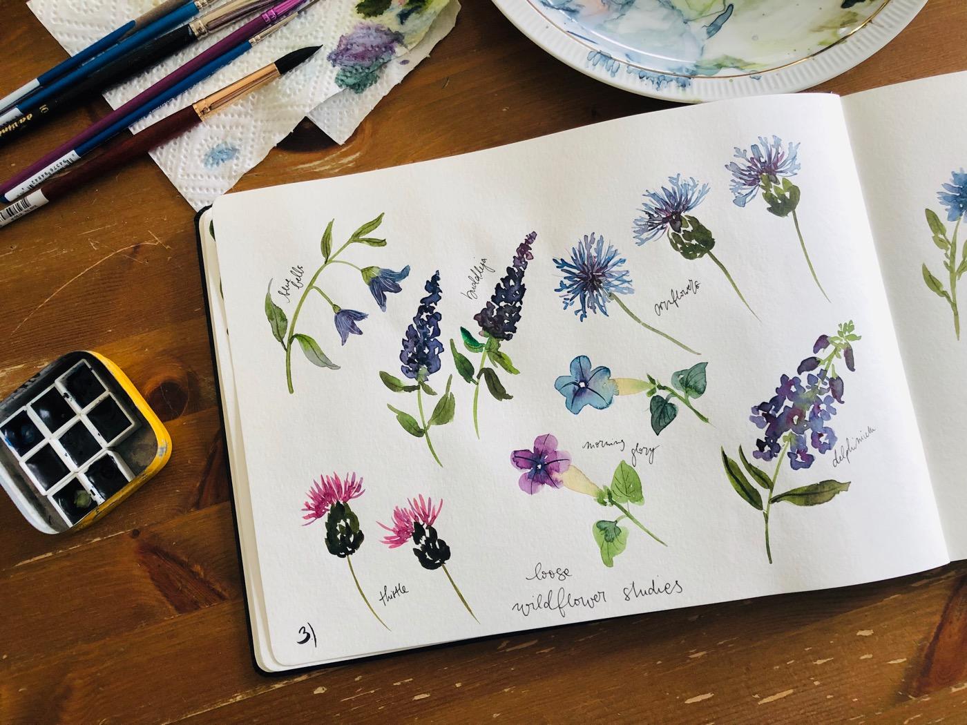 Wildflower studies - image 3 - student project