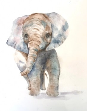Elephant - image 1 - student project