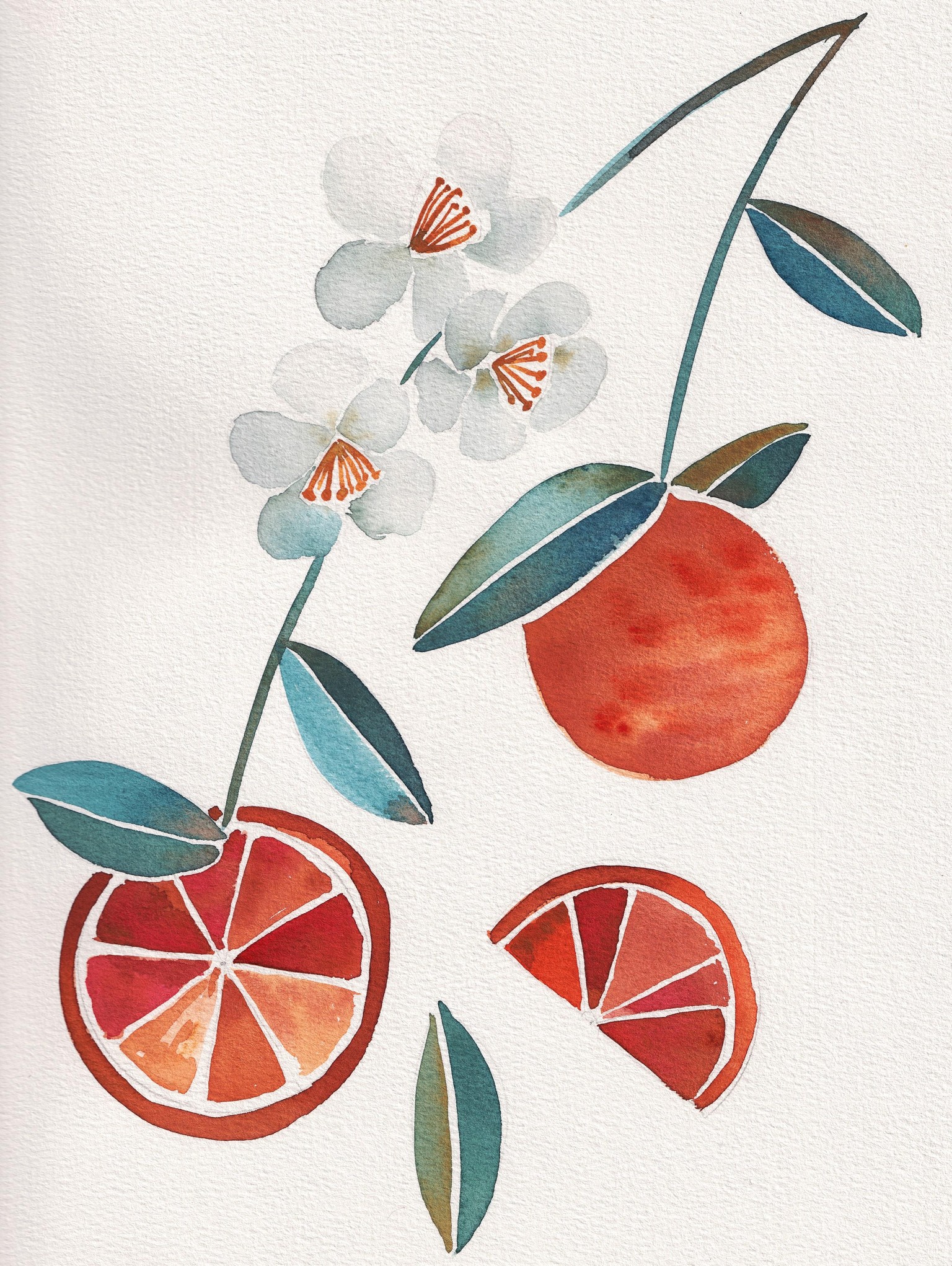 Summer fruits - image 1 - student project
