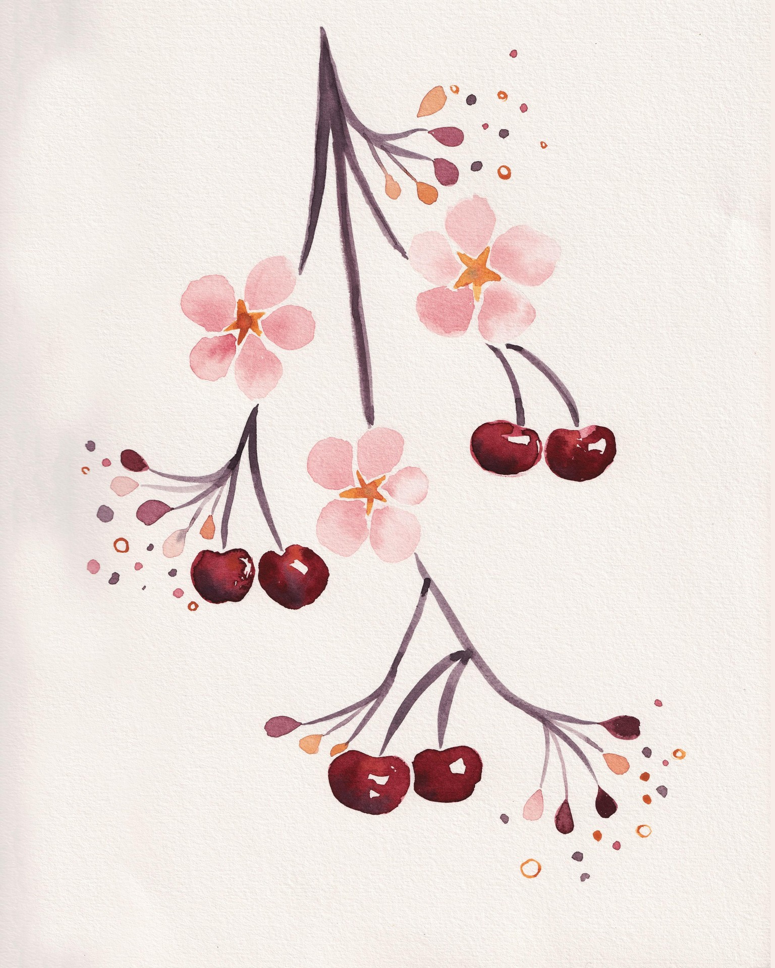 Summer fruits - image 3 - student project