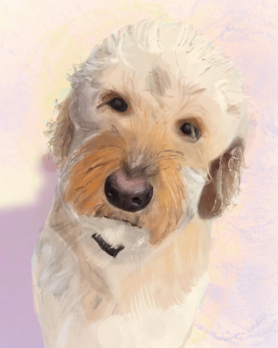 Pup! - image 1 - student project