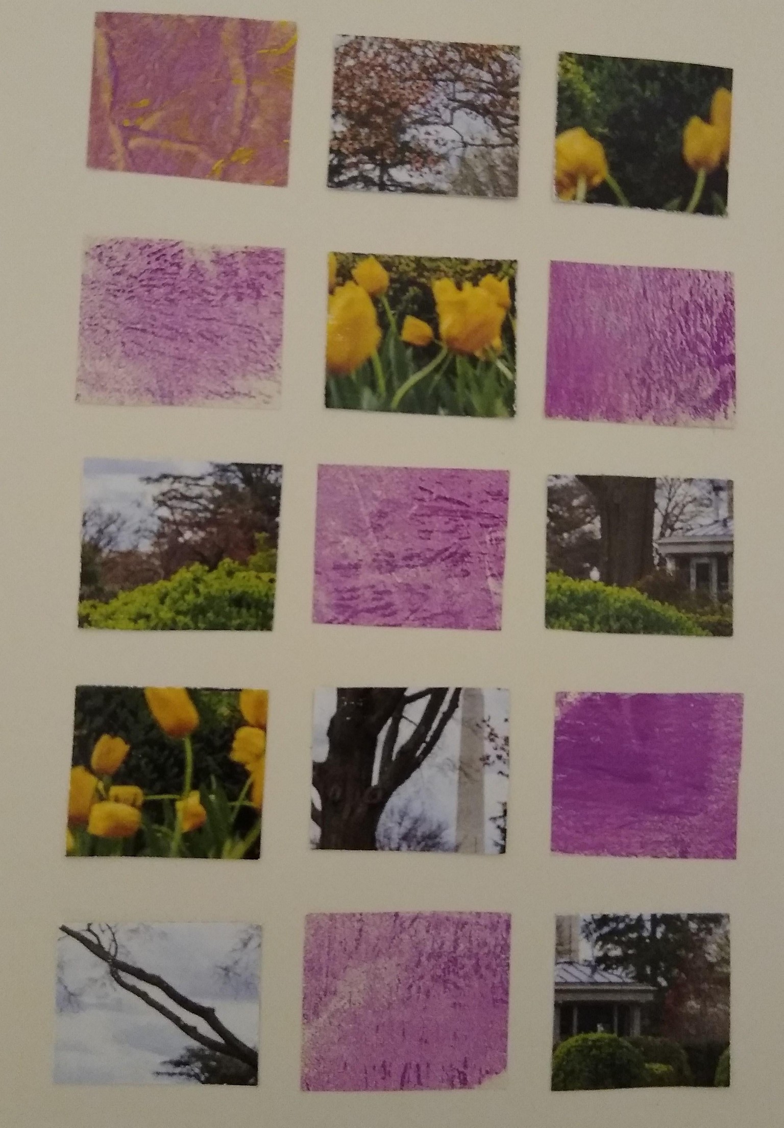 Grid Collage - image 1 - student project