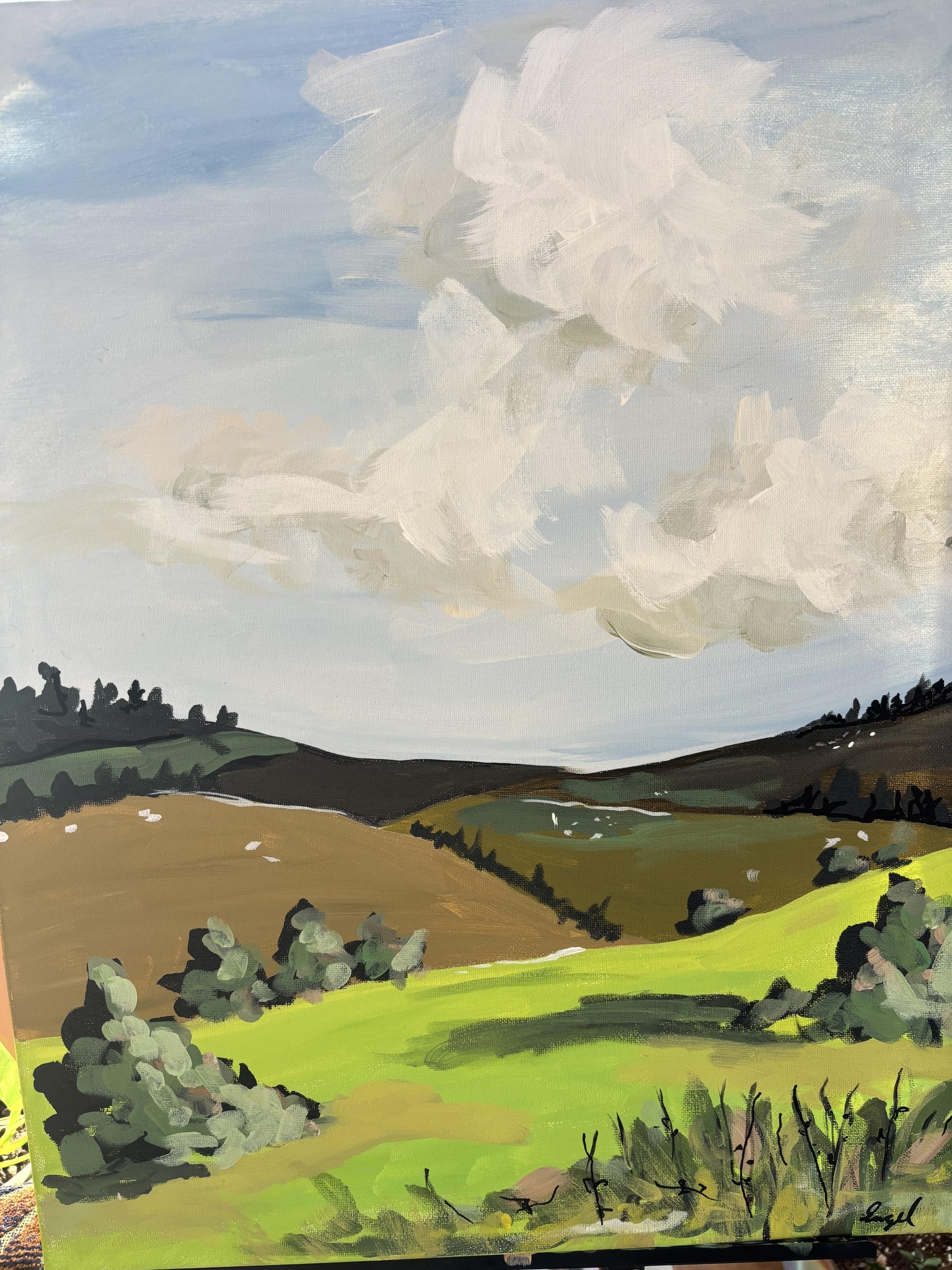 landscape - image 1 - student project