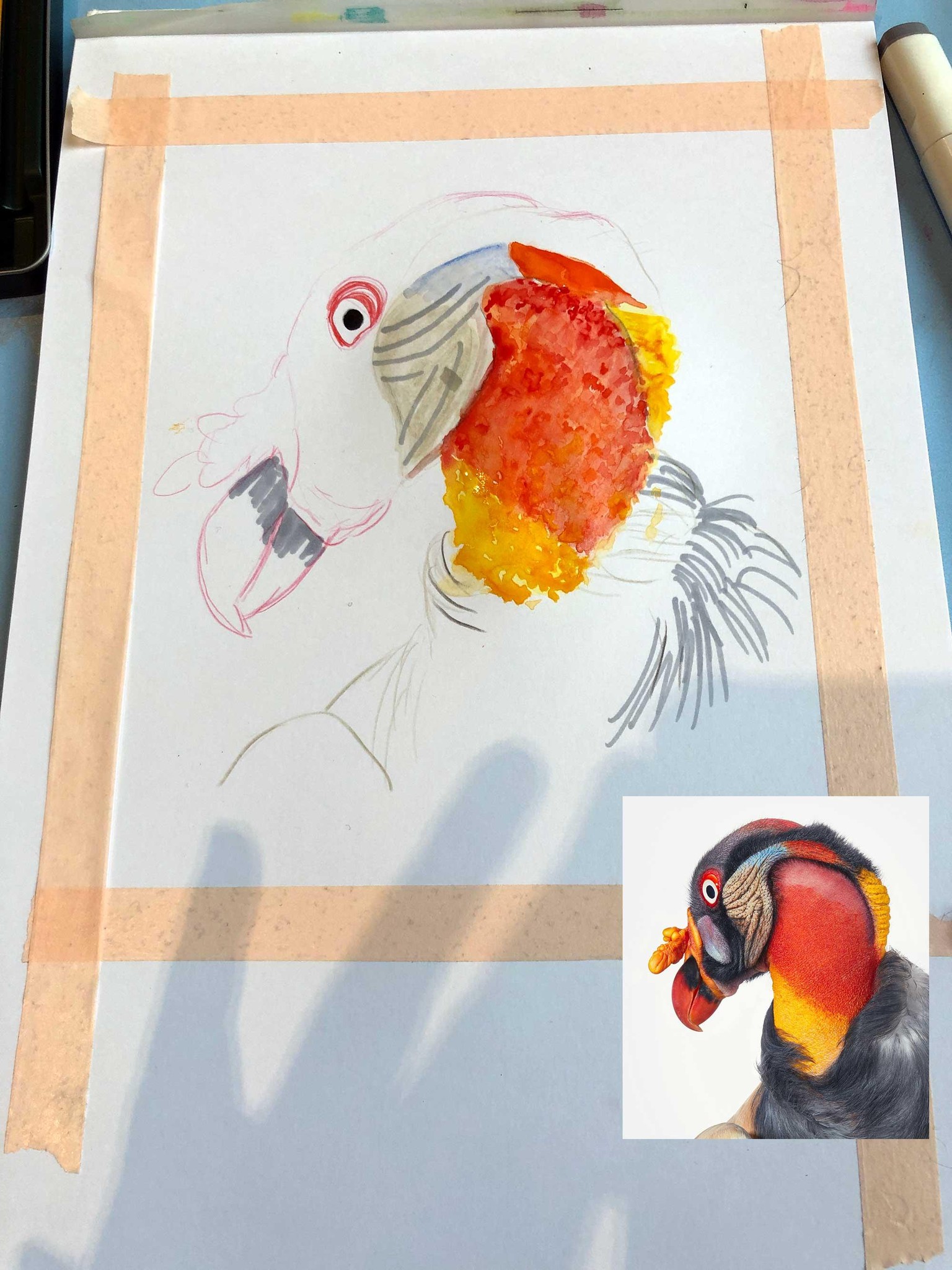 King vulture - mixed media - image 2 - student project