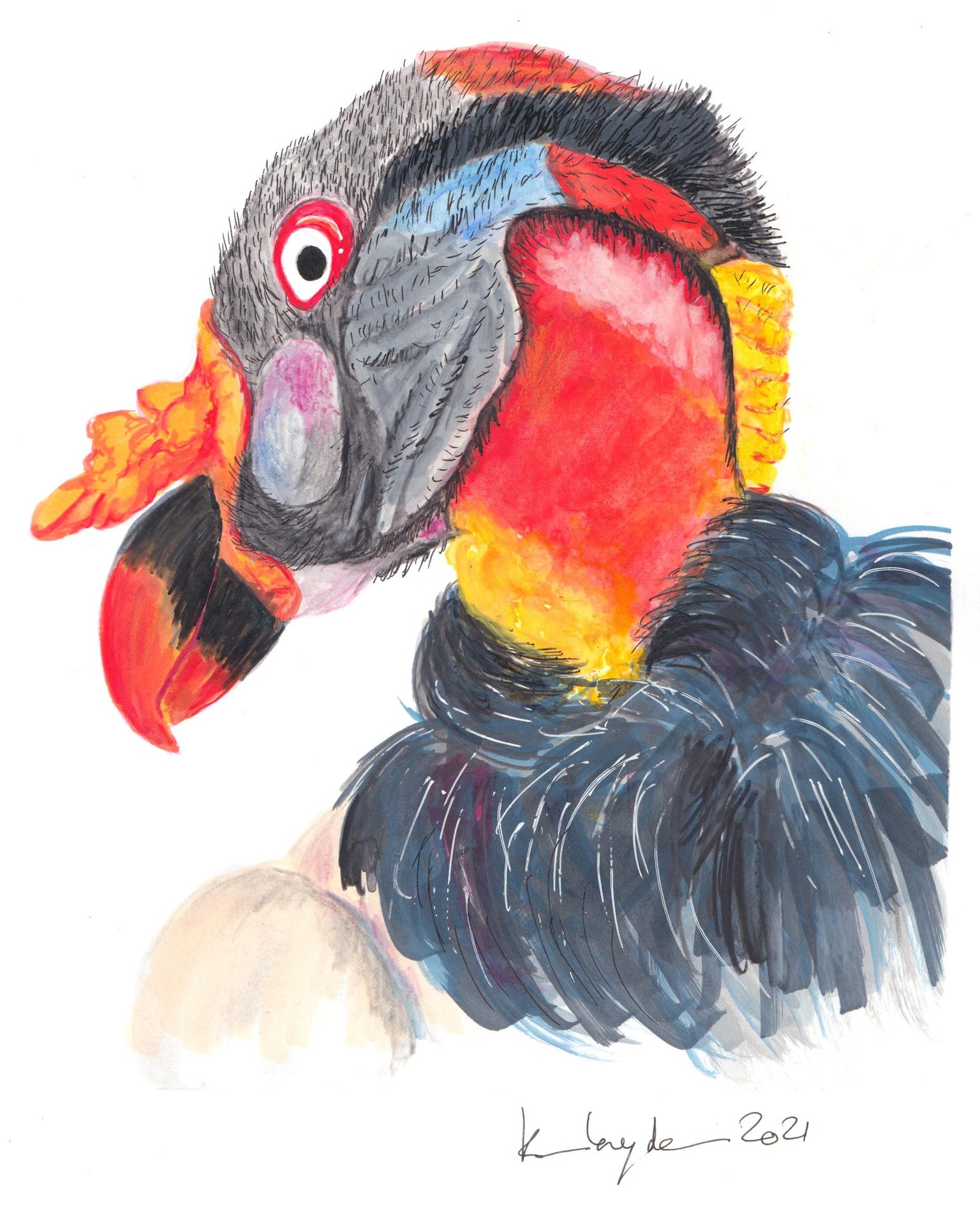 King vulture - mixed media - image 1 - student project